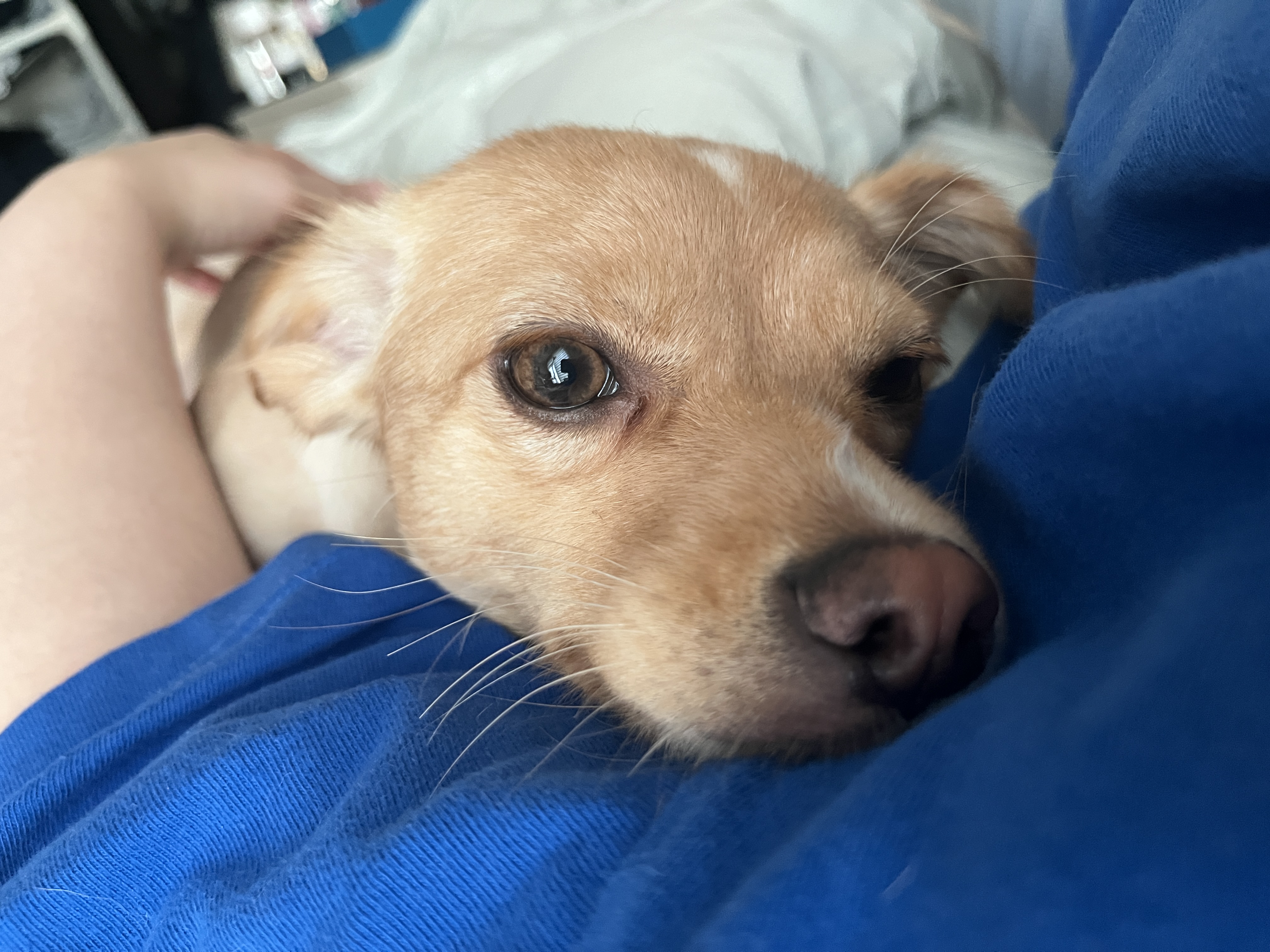 뽀또(이포)의 행복한 막내일기 <3>