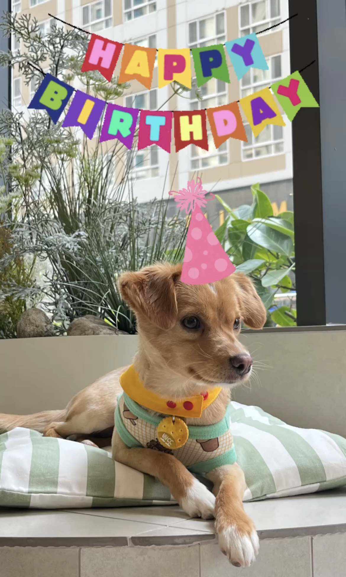 뽀또(이포)의 행복한 막내일기 <3>