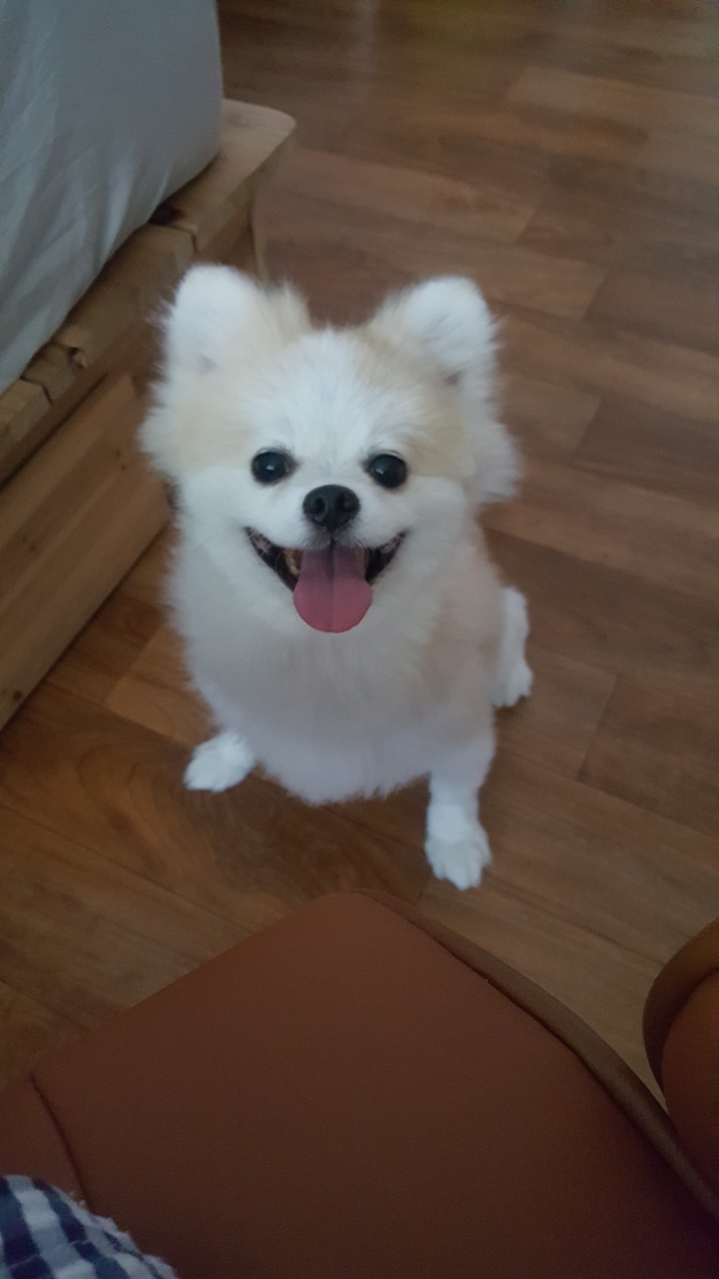 레오에요~( 구 곤지암 금송이)