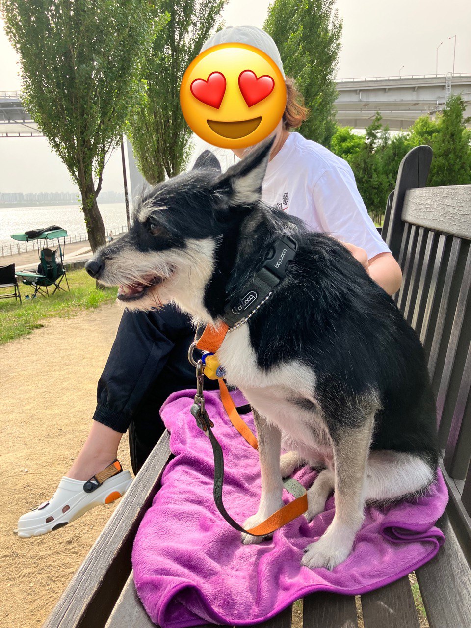 두송이(로하)와 함께 한 1년 