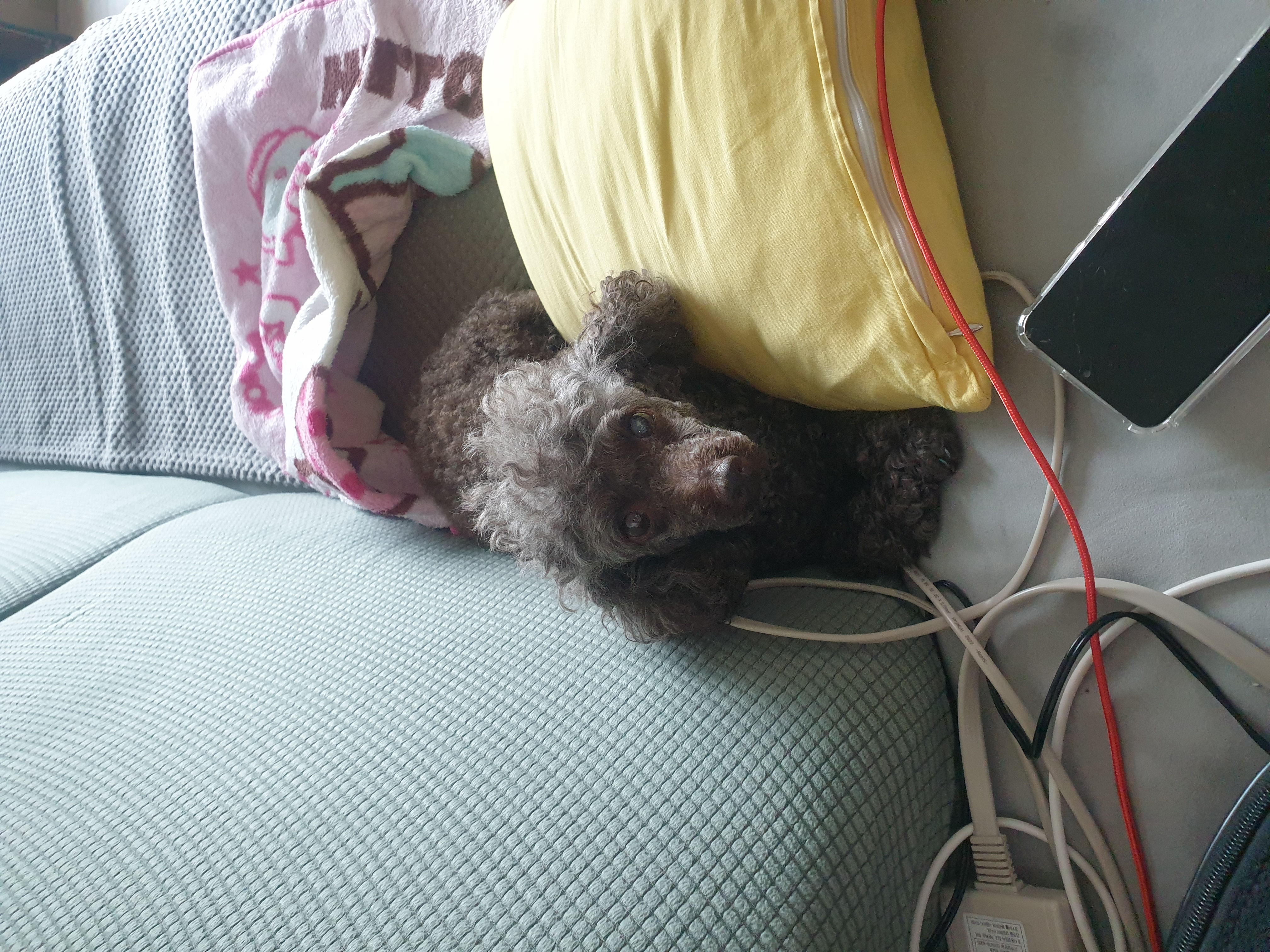 2년째 가족으로..