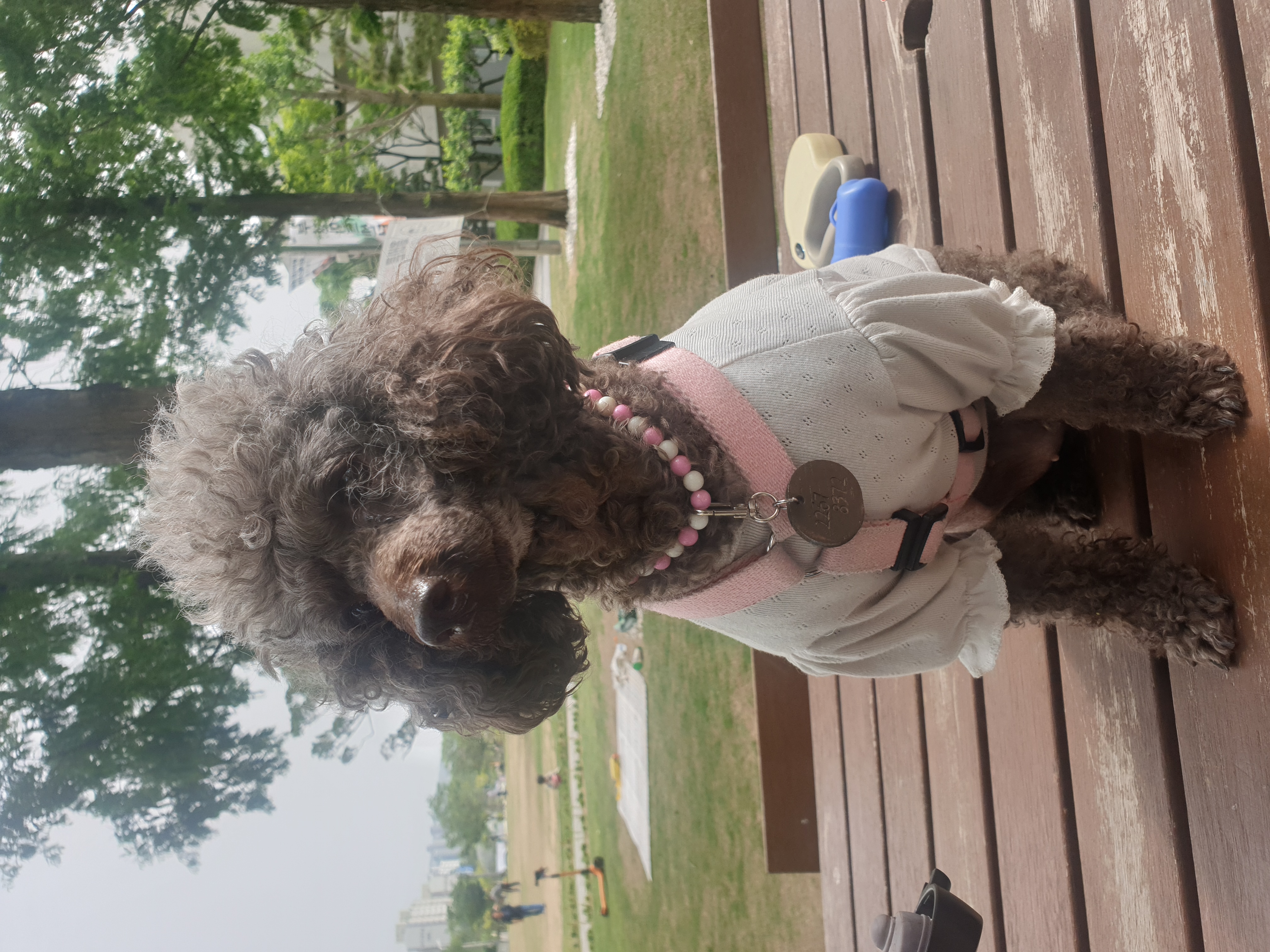 2년째 가족으로..