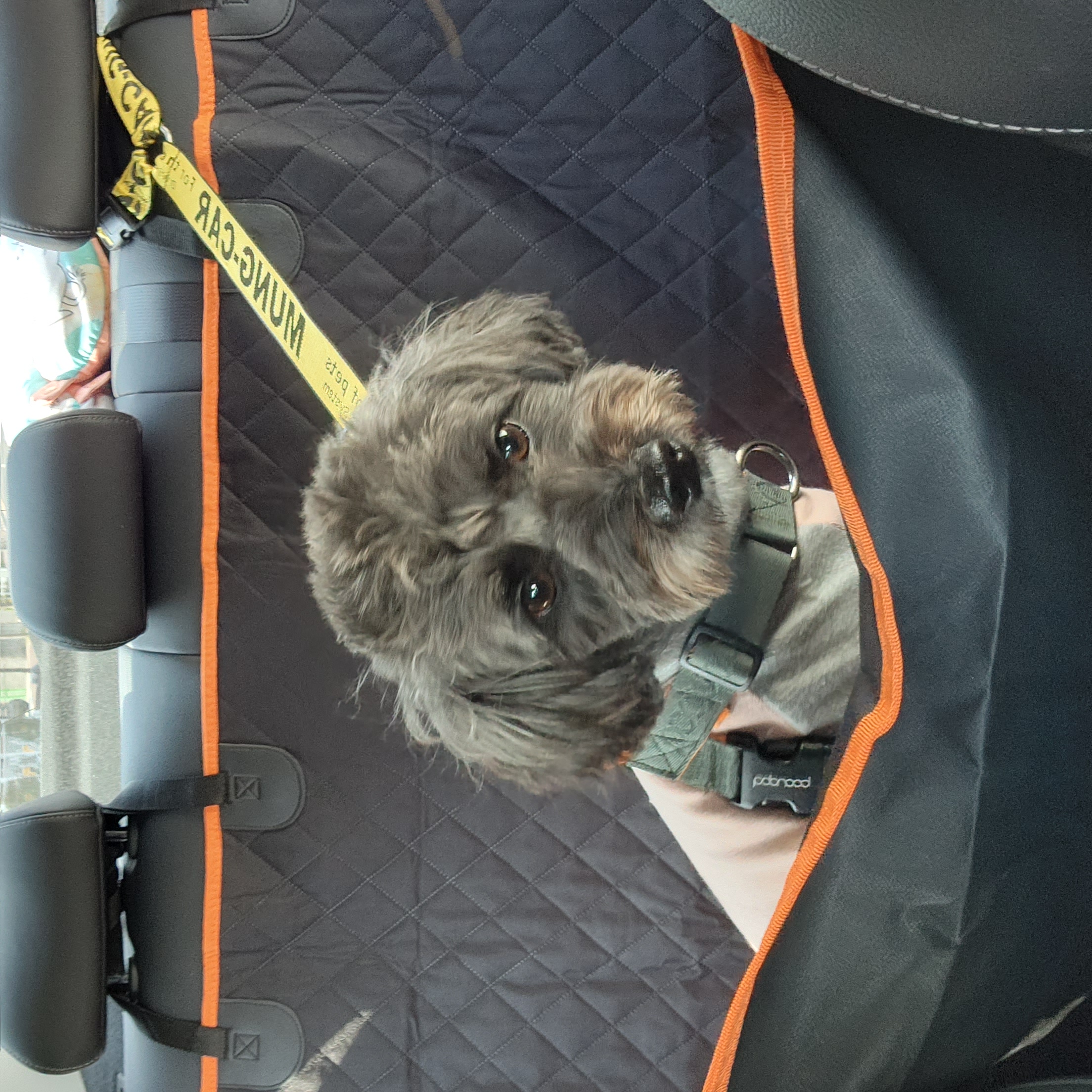 배리(말푸이) 한달입니다!