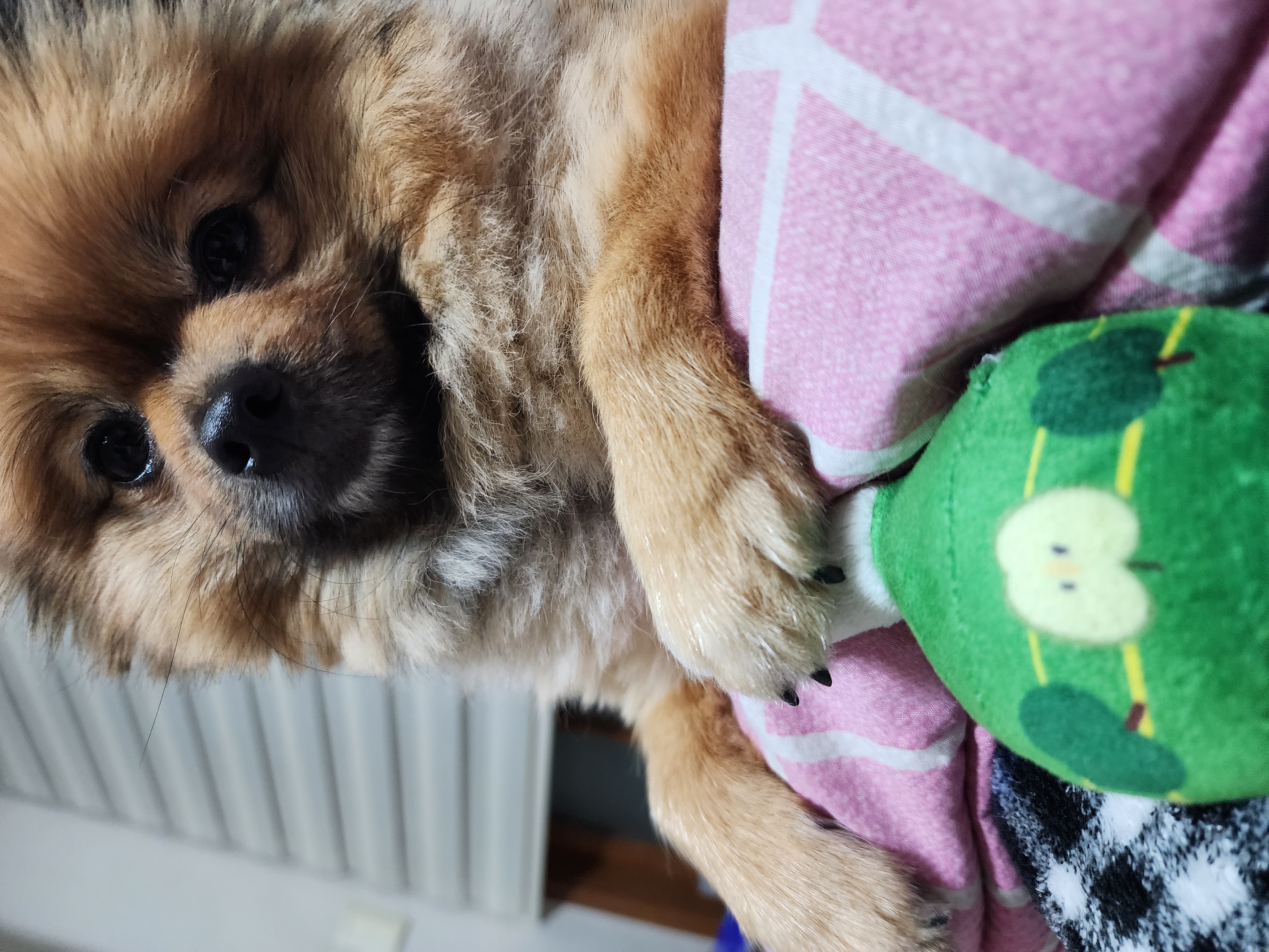 러비(워일) 2년됐어요♡♡