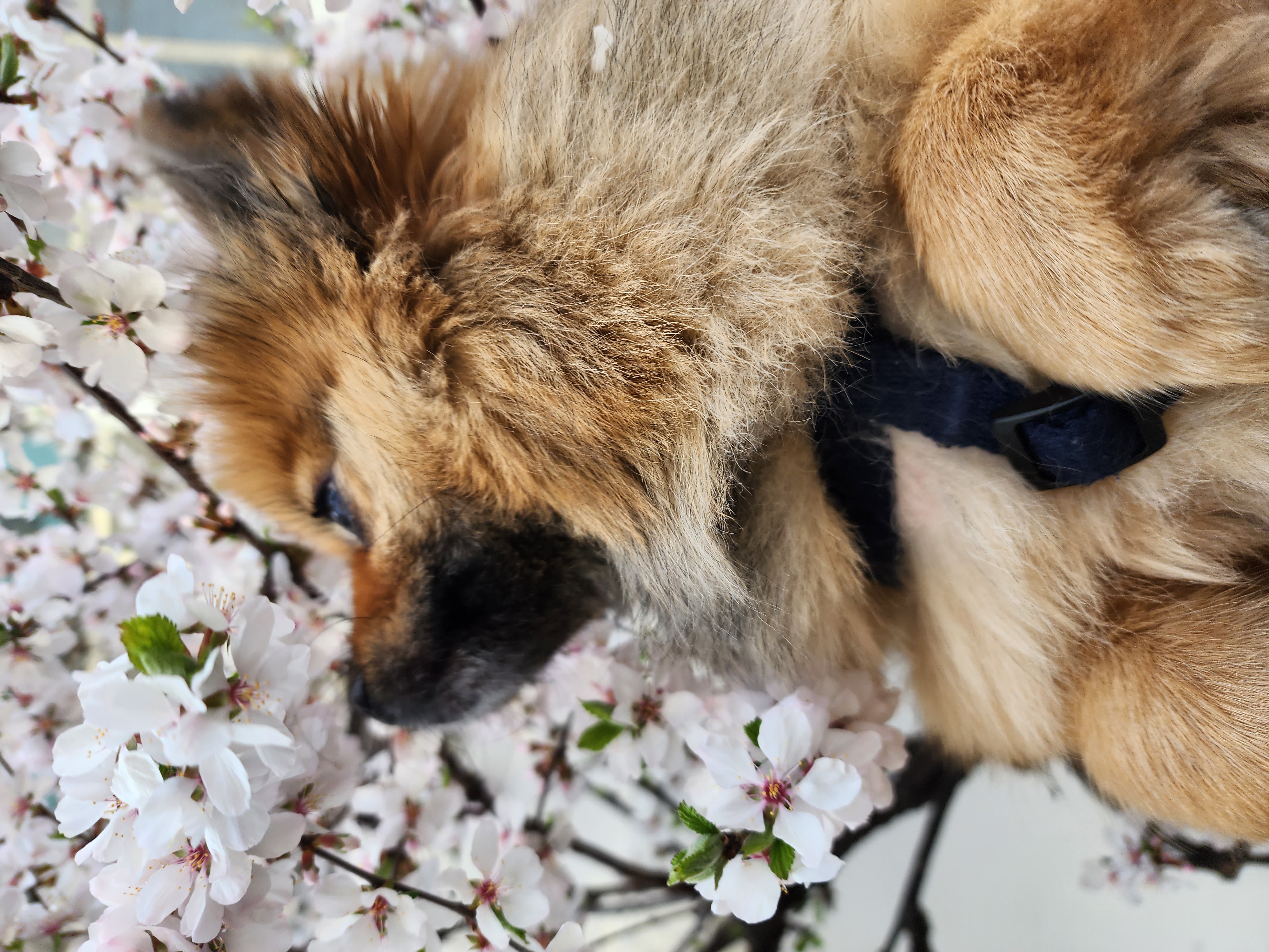 러비(워일) 2년됐어요♡♡