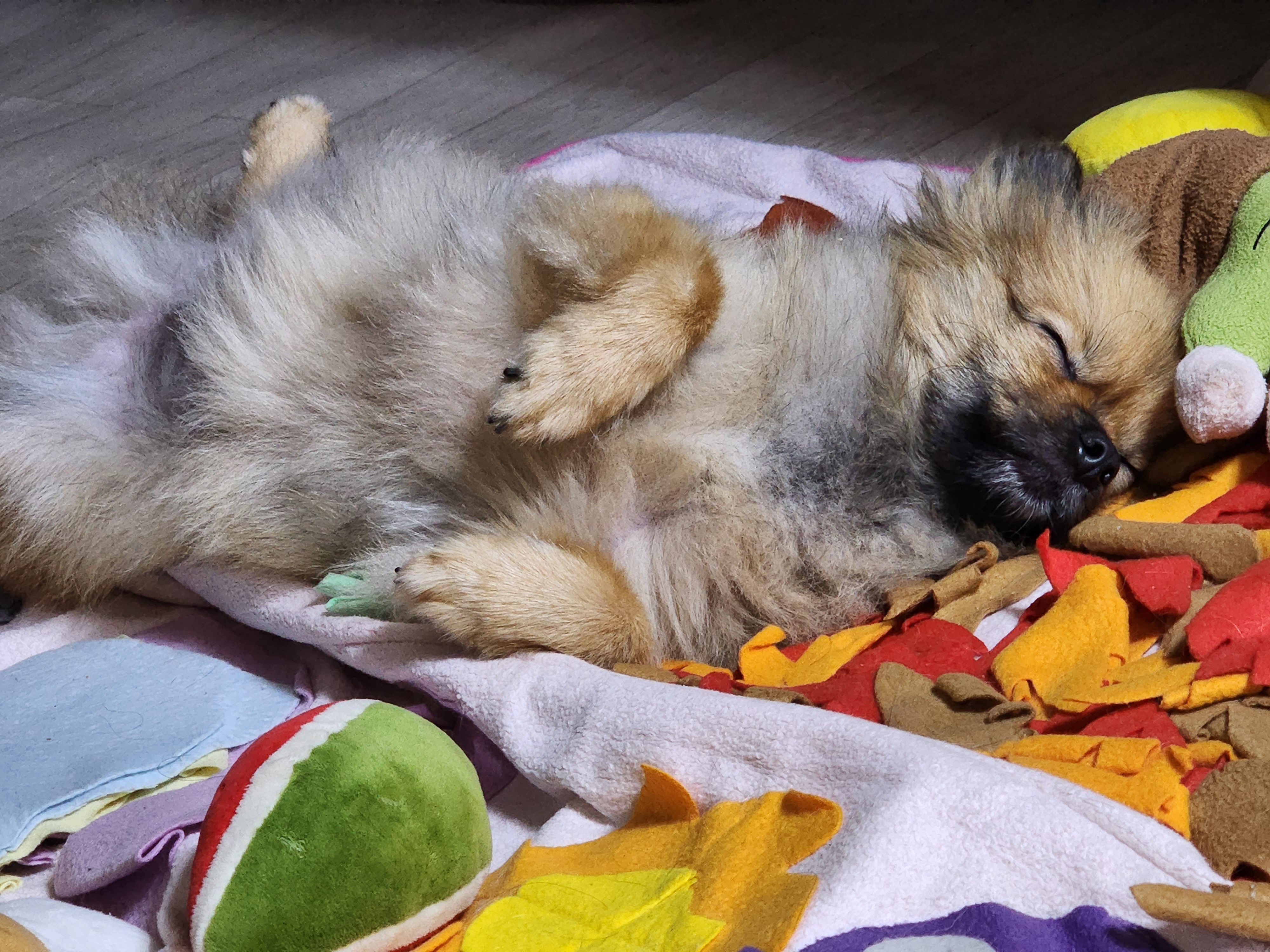 러비(워일) 2년됐어요♡♡