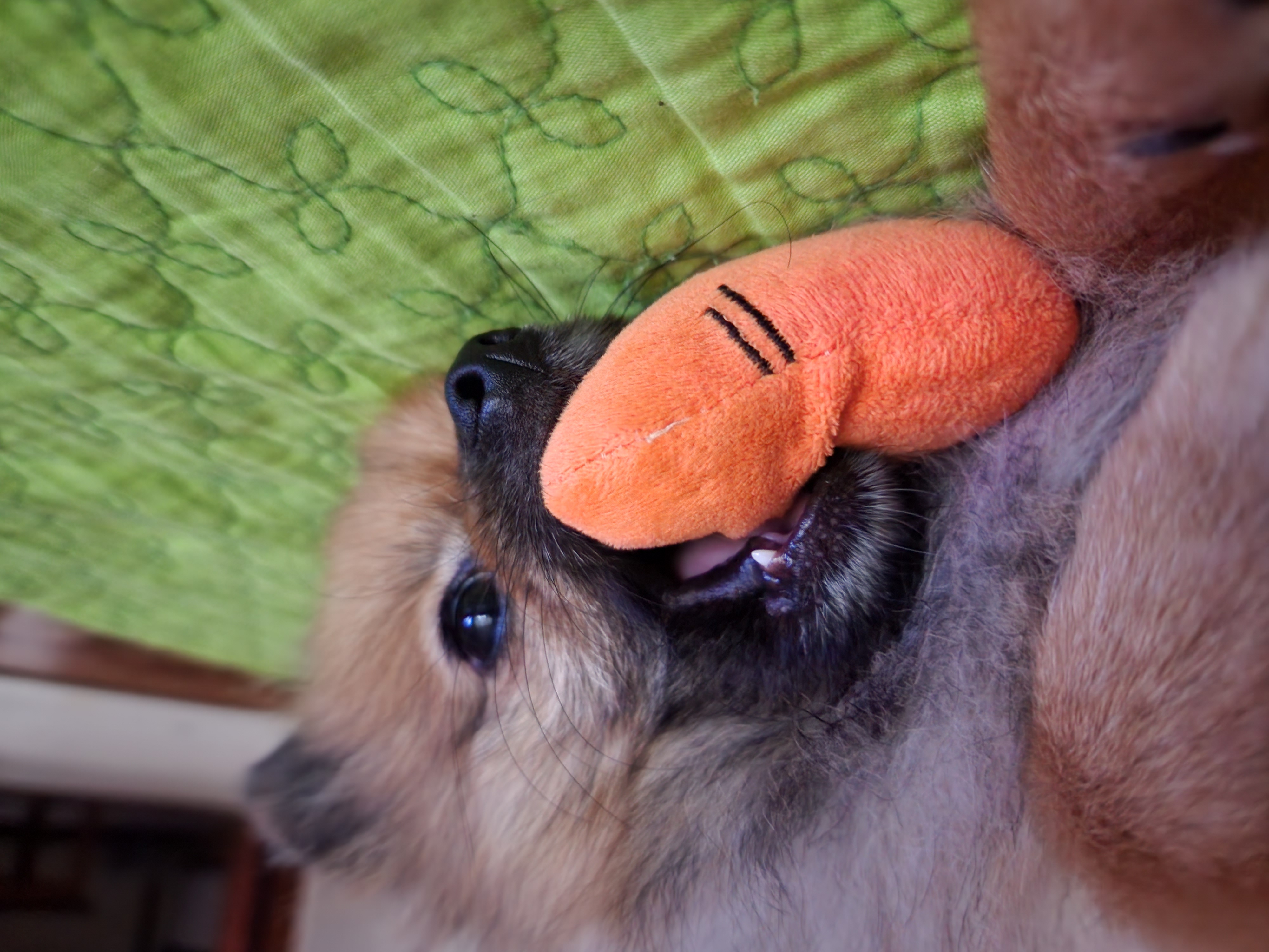 러비(워일) 2년됐어요♡♡