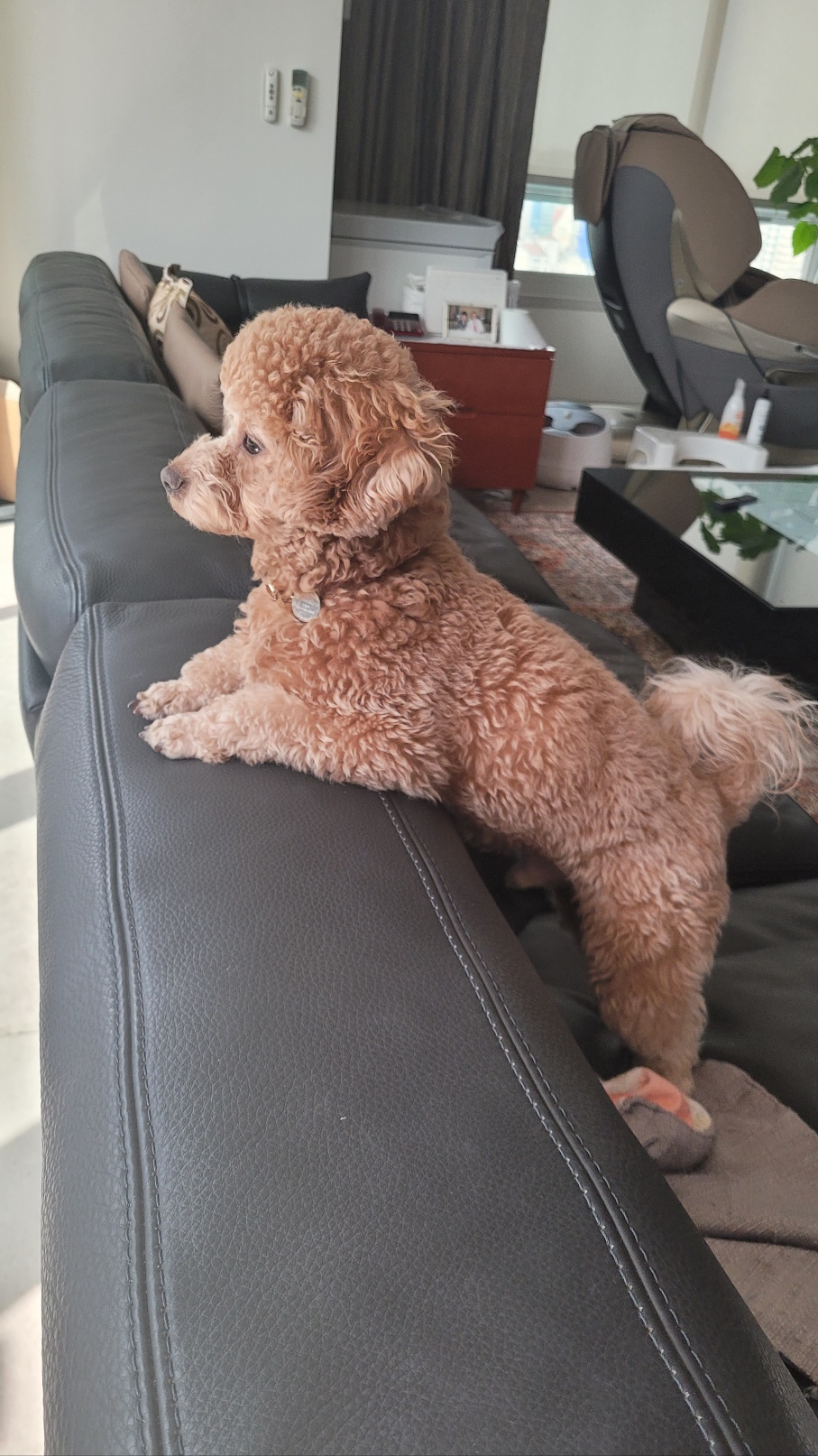 해리 온지3달 넘었어요