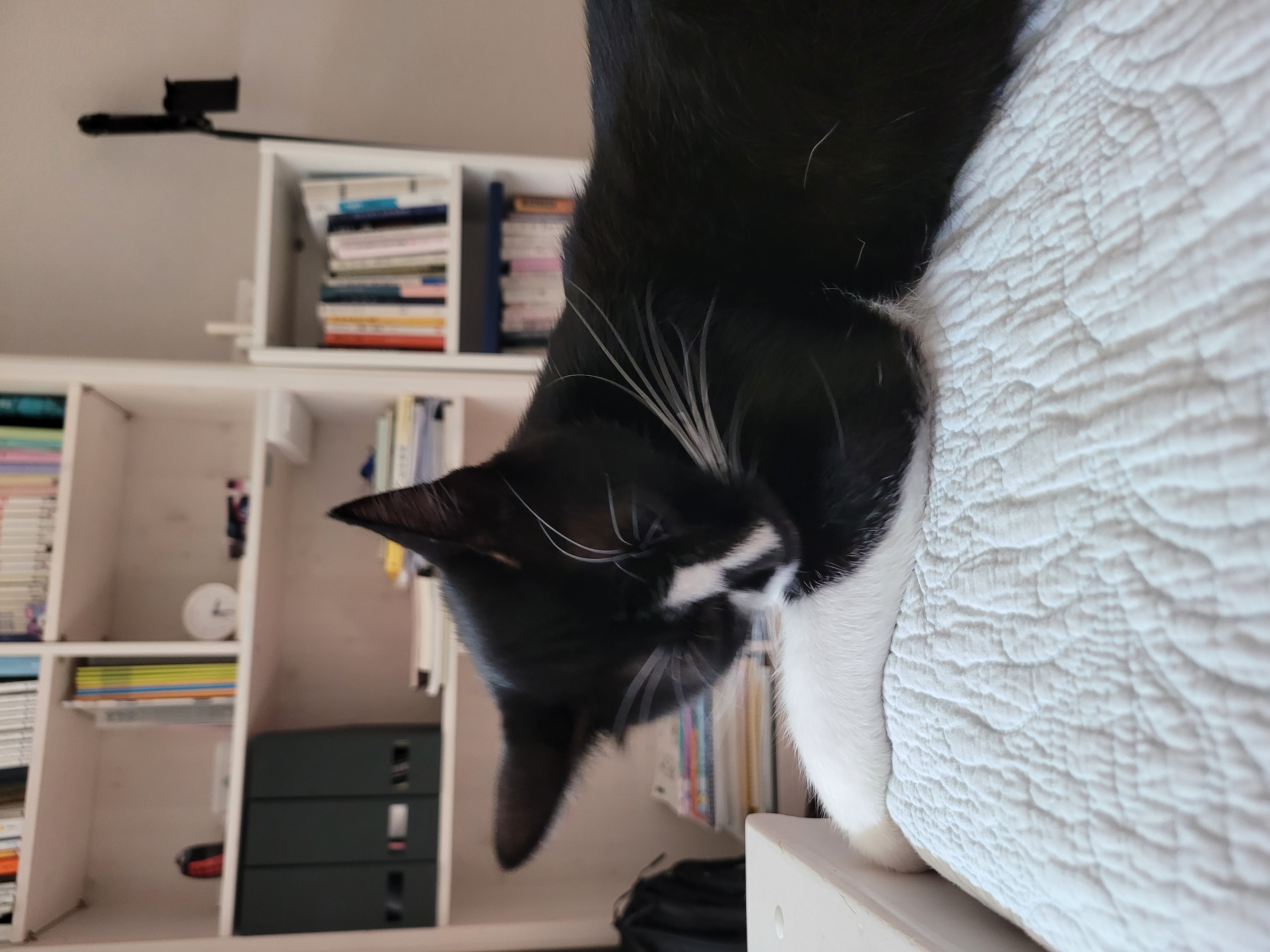 까미ㅡ사랑뿜뿜♡