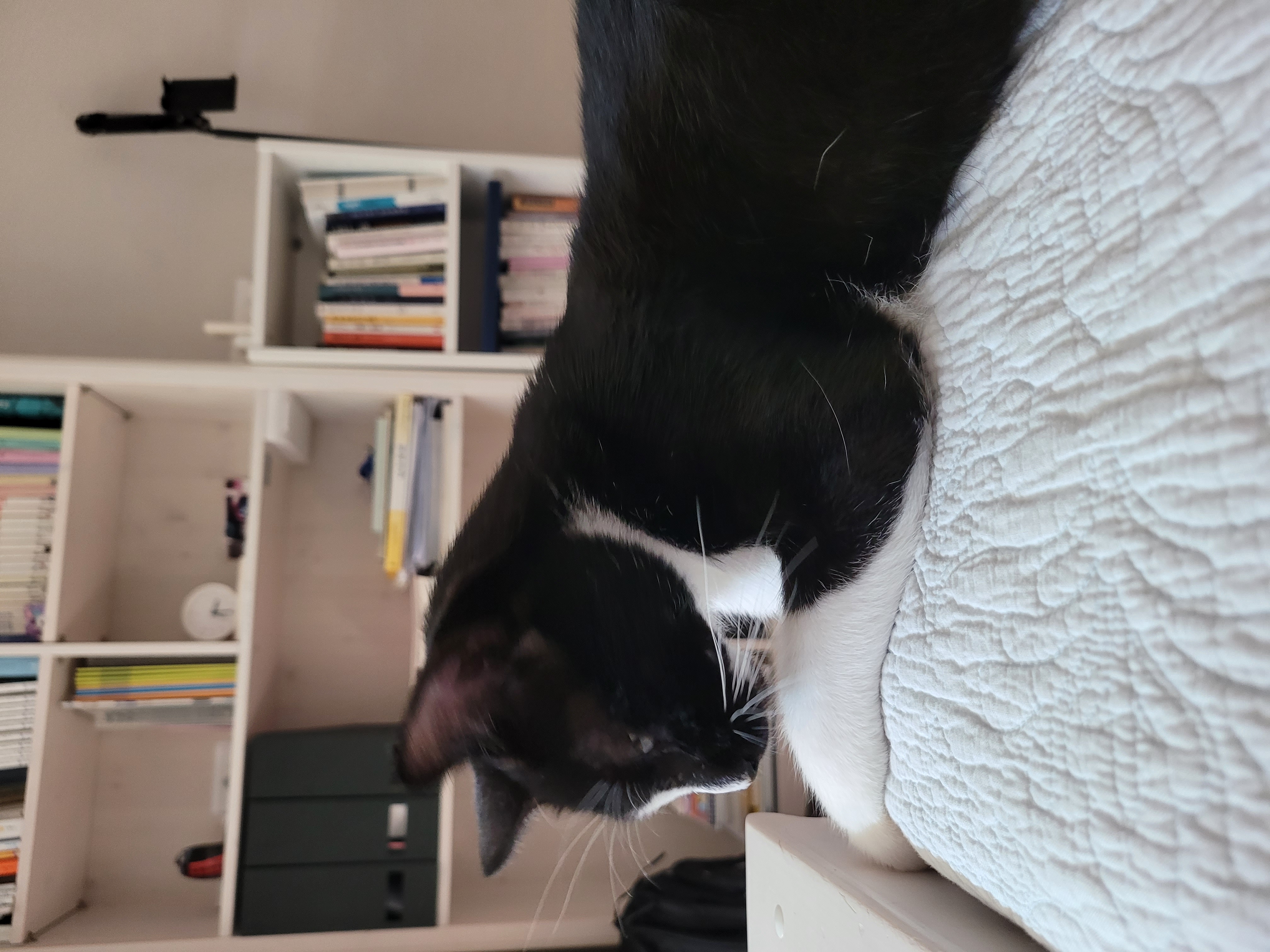 까미ㅡ사랑뿜뿜♡