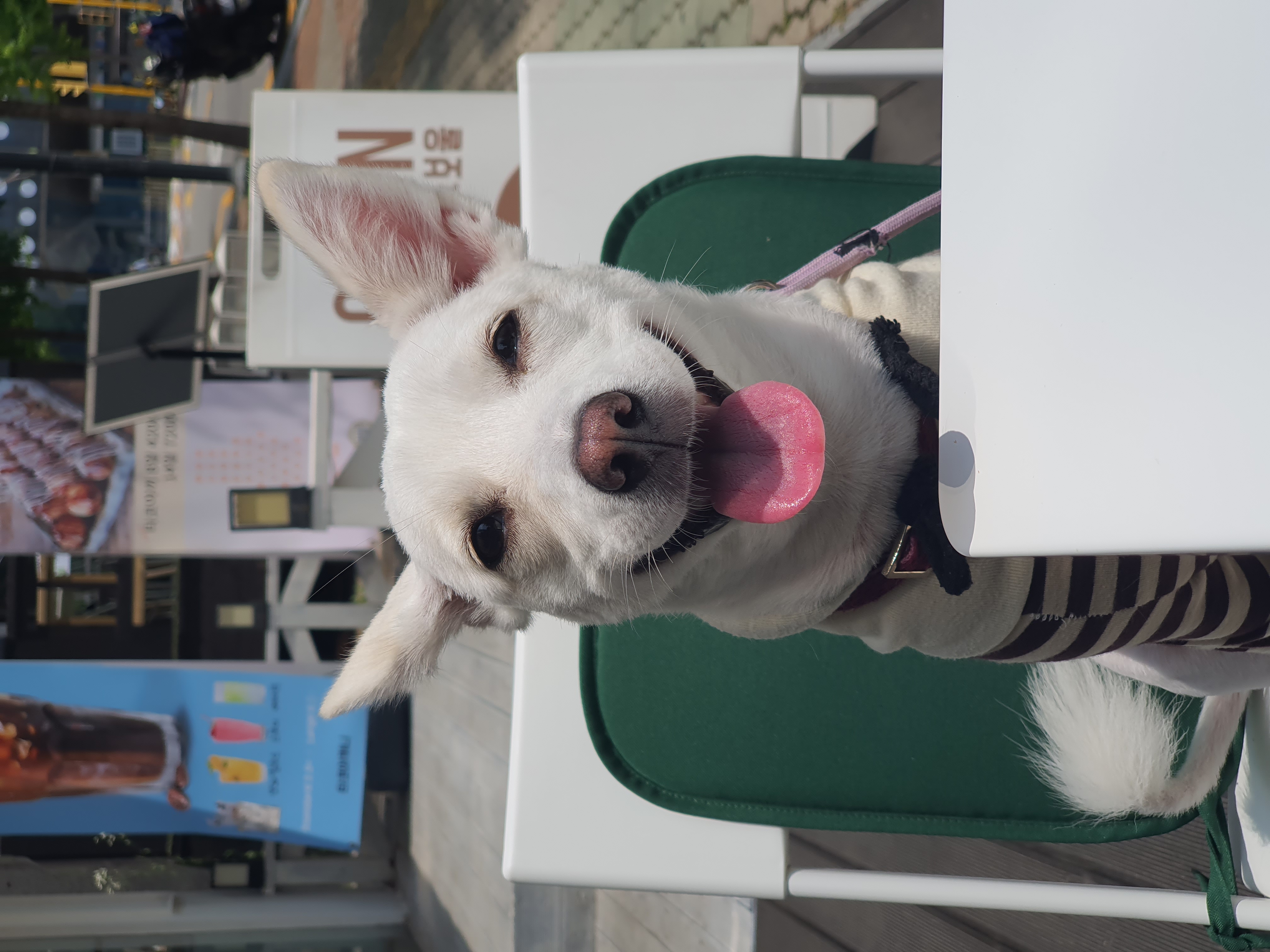 하트 잘 지내요^^