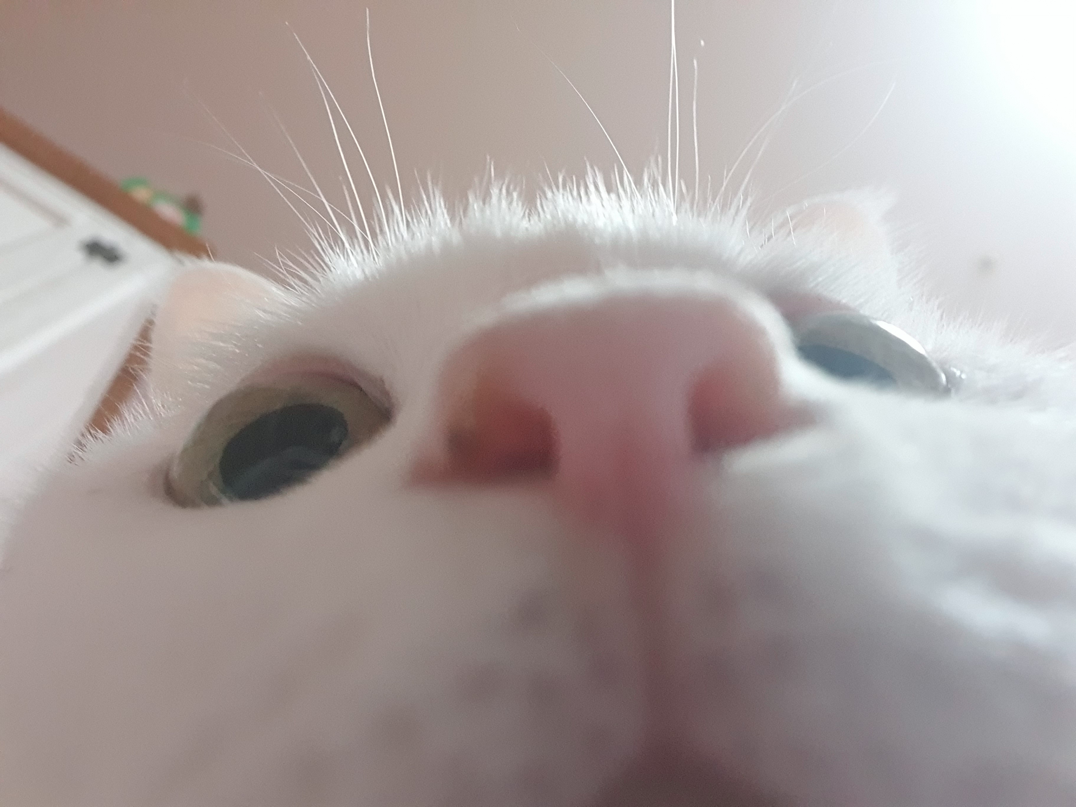 하트 잘 지내요^^