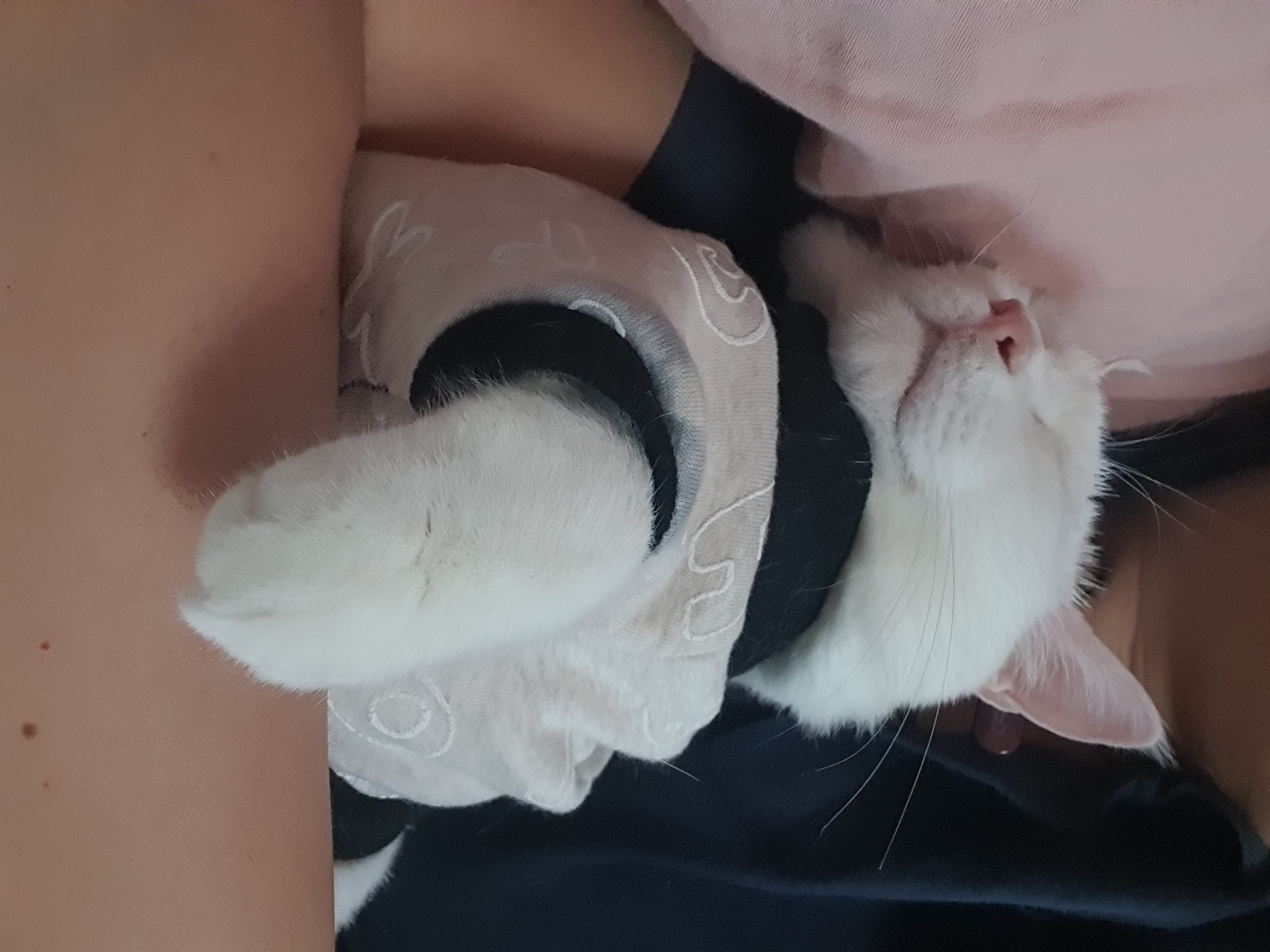 하트 잘 지내요^^