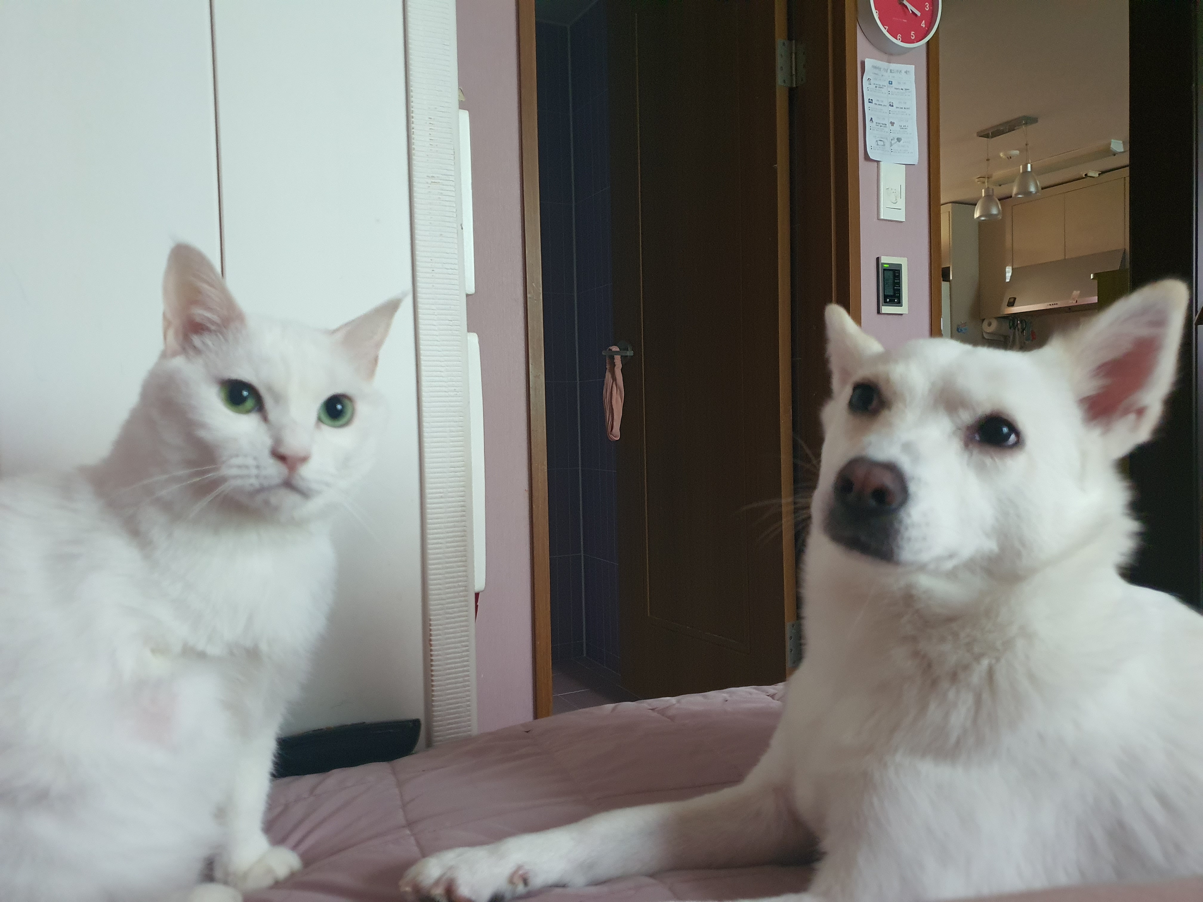 하트 잘 지내요^^