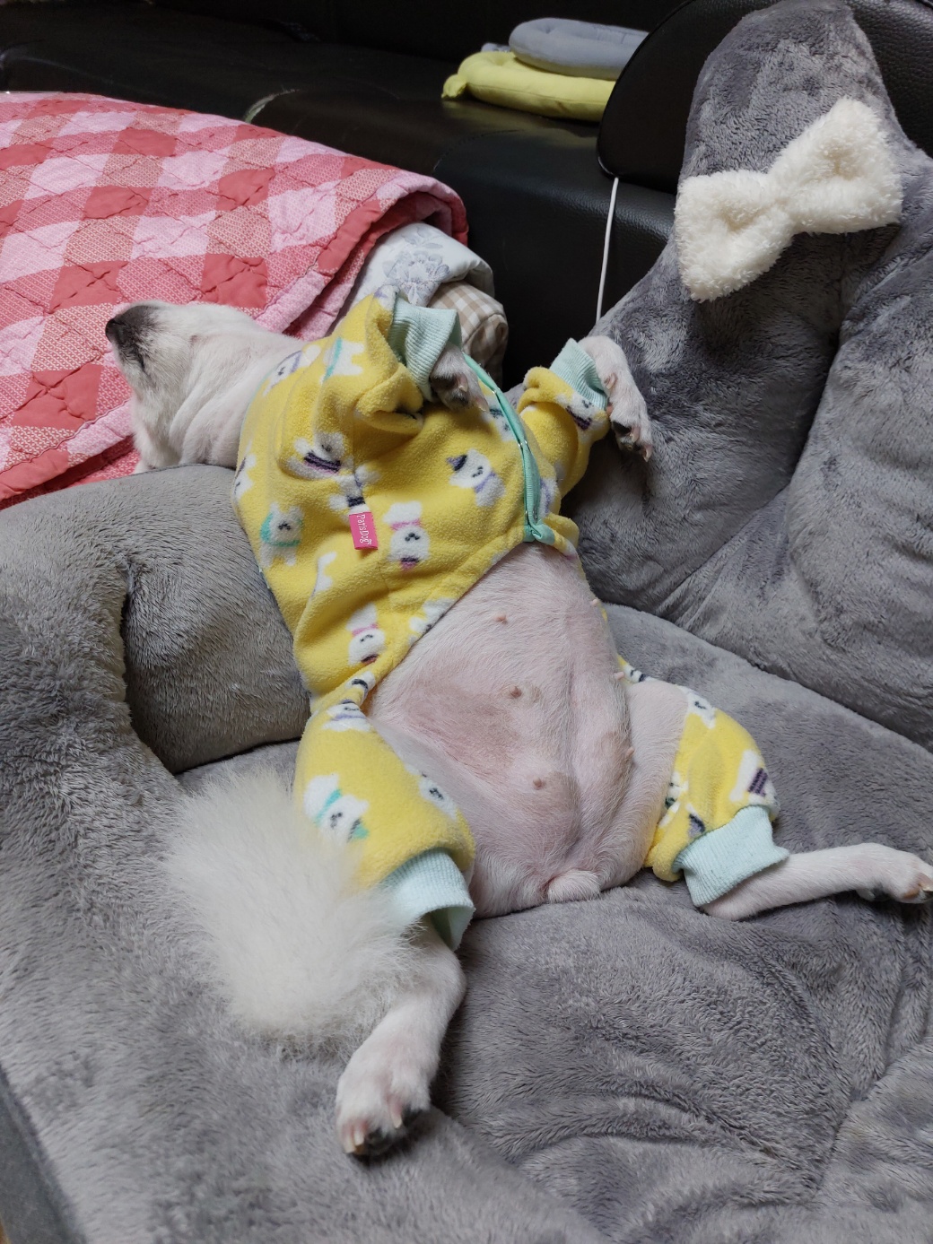 꼬미.마음이야기