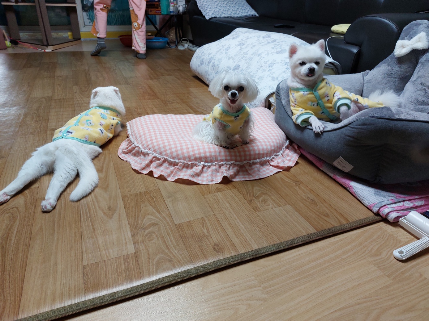 꼬미.마음이야기