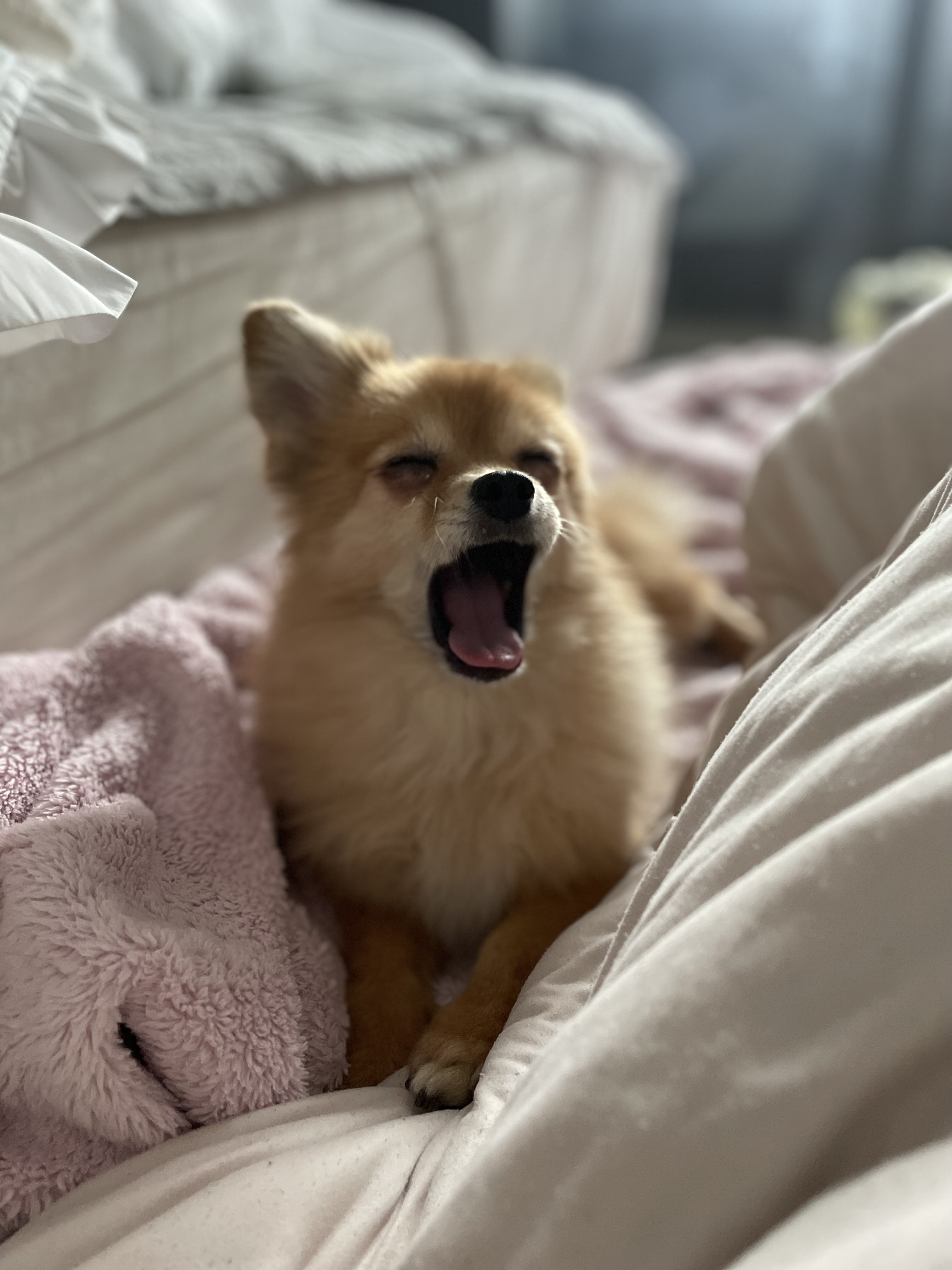 티거(곤지암2-워터)와 벌써 이년!