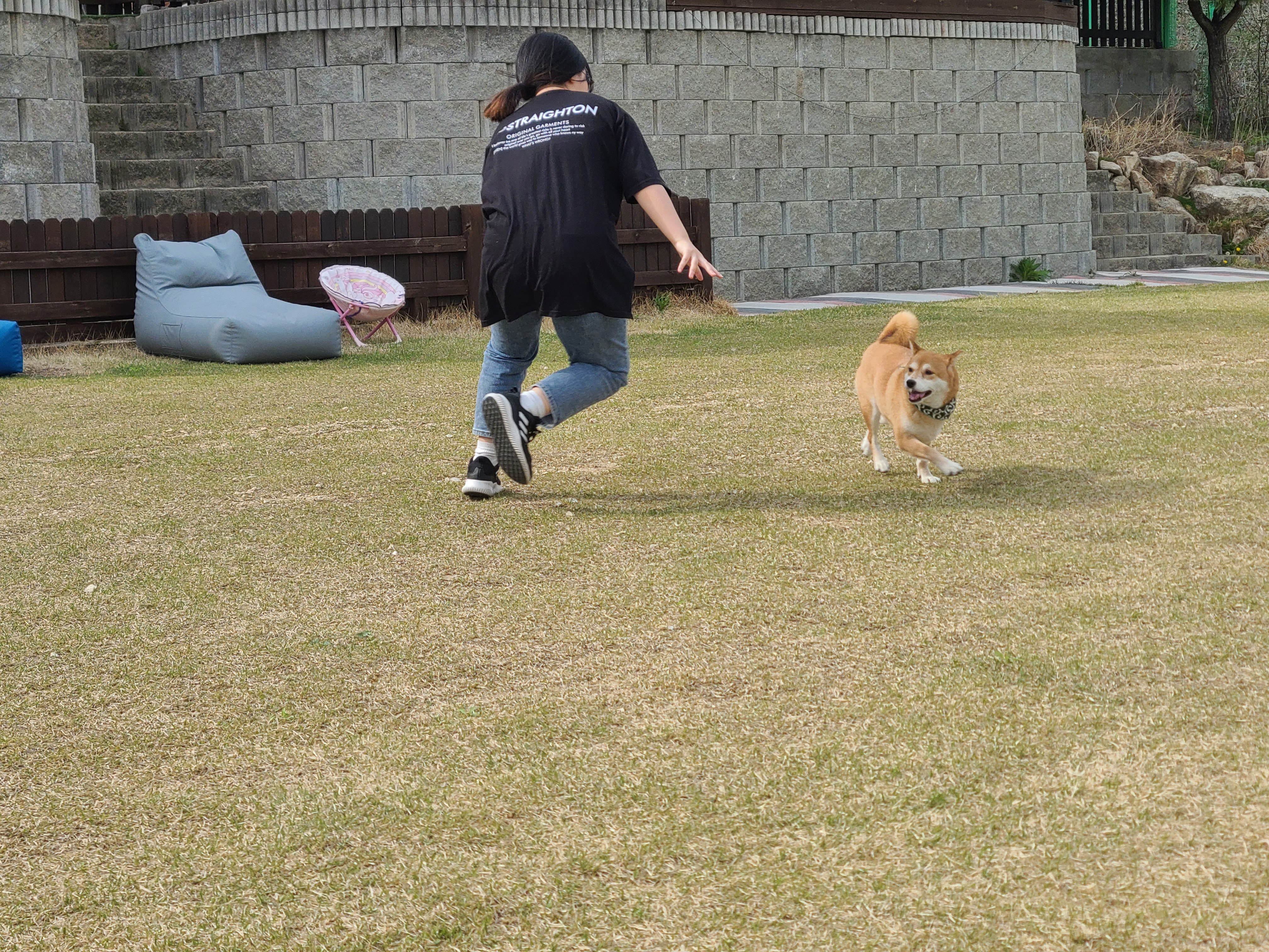 보리와 지낸지 벌써 2년