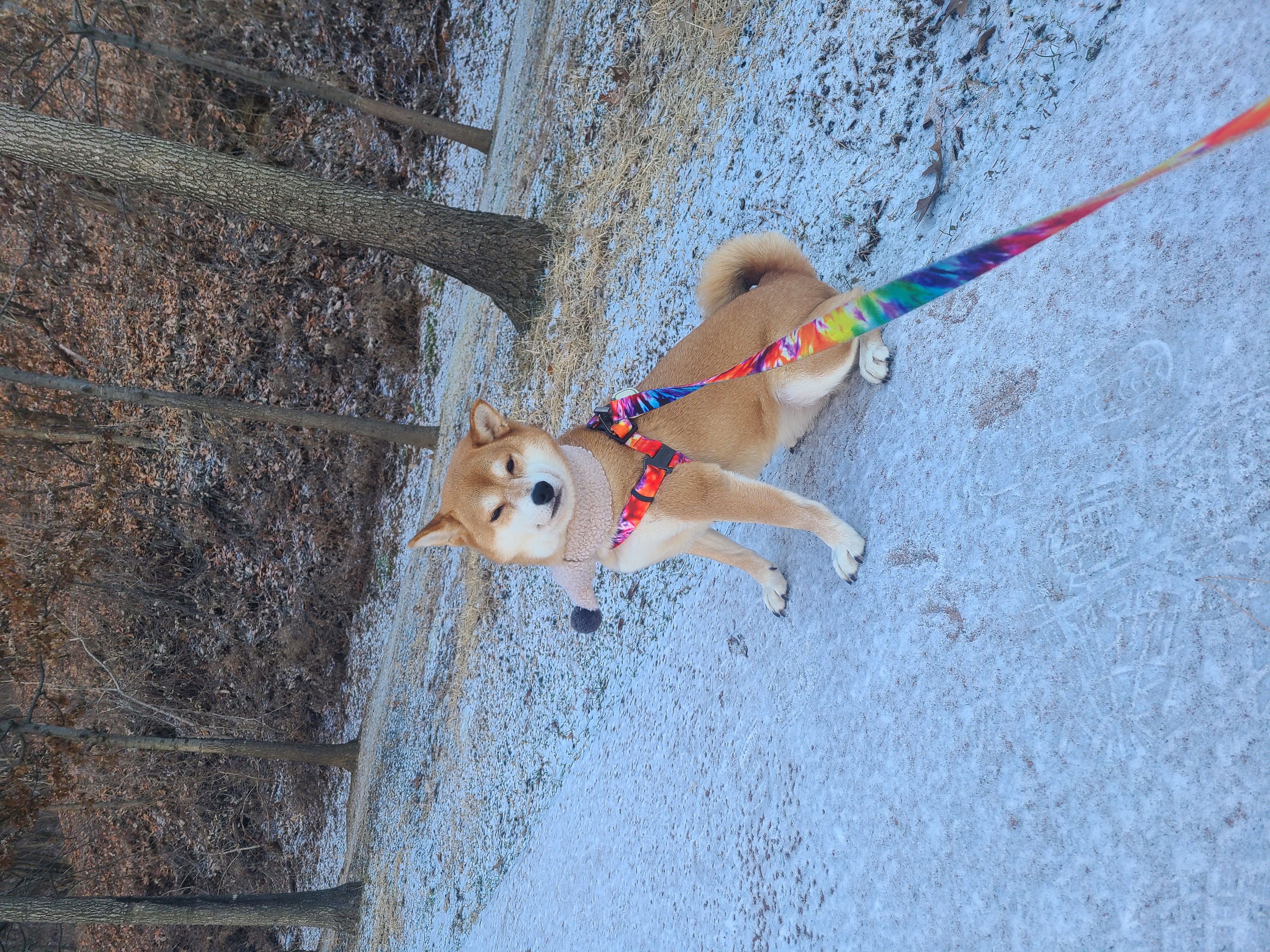 보리와 지낸지 벌써 2년