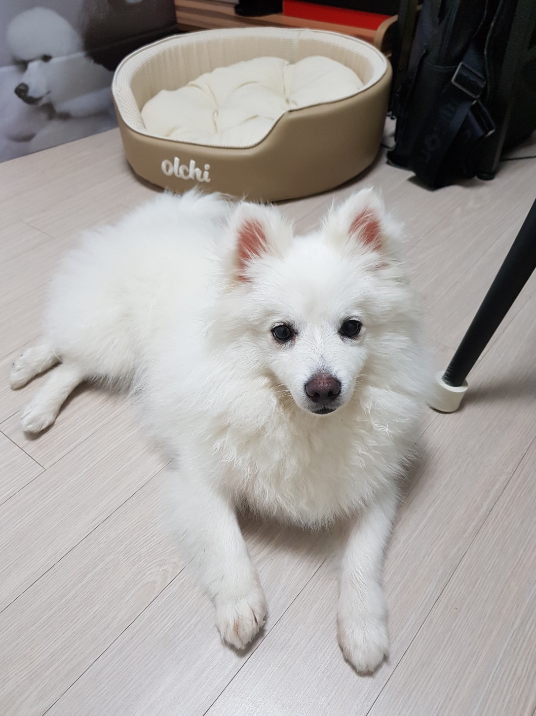 舊 메리, 現 금이 함께 한지 벌써 5년 됐나봐요