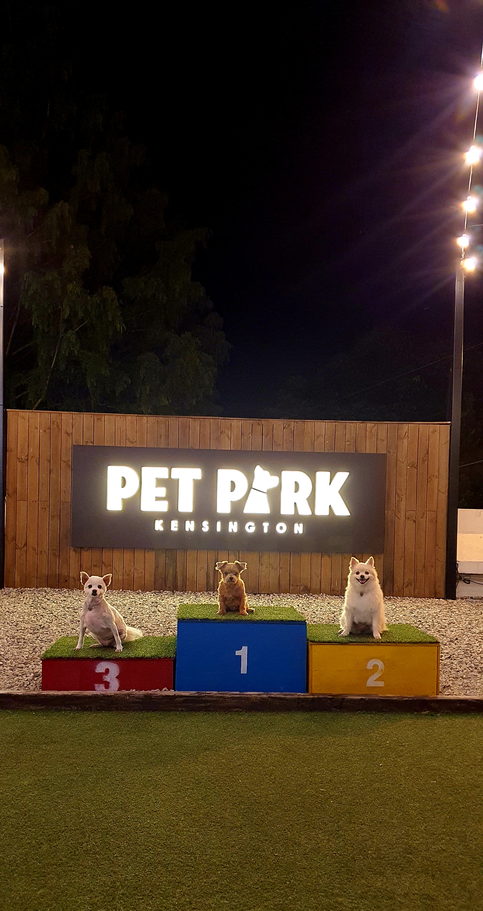 땅콩(곤지암 몽쉘)이 잘 지내요~~