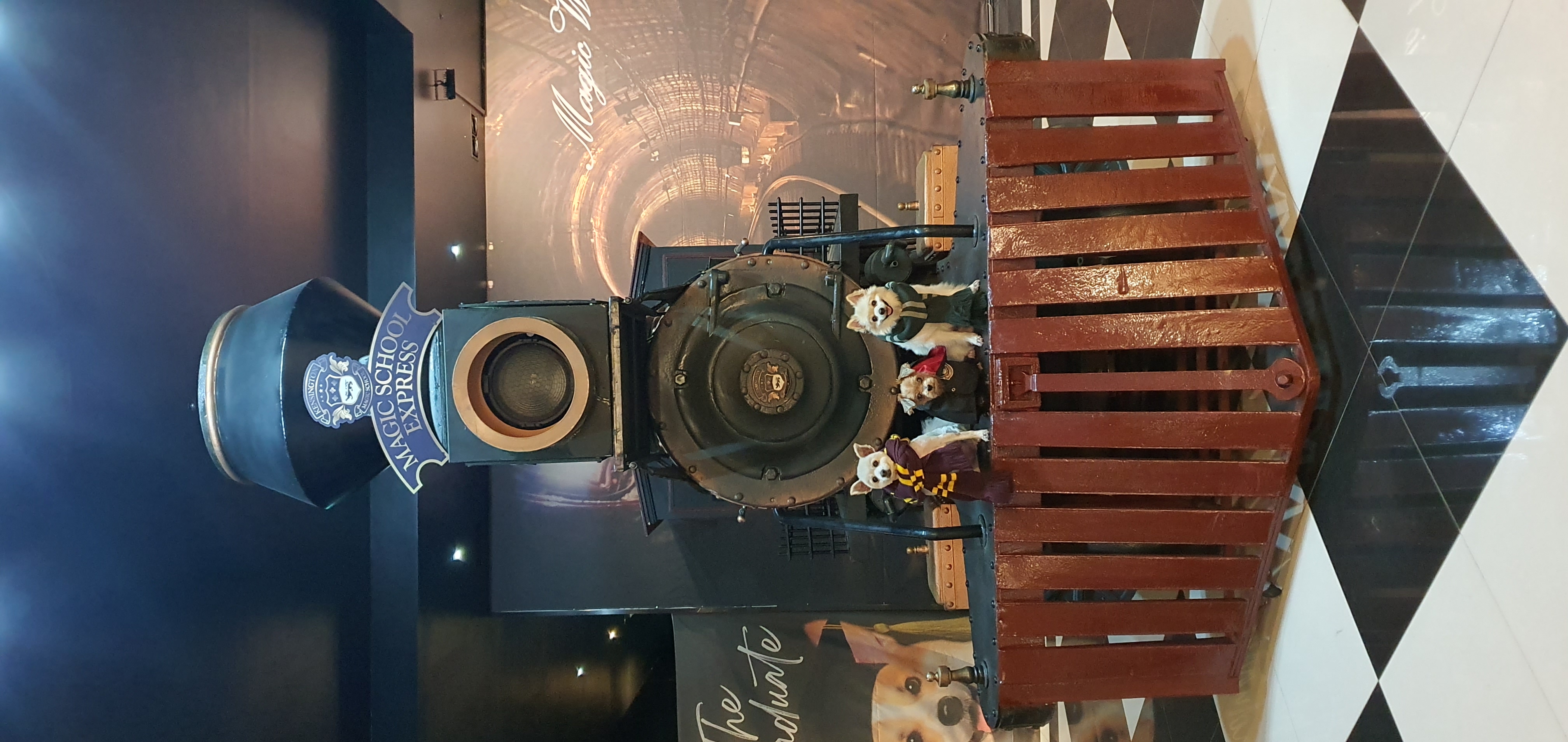 땅콩(곤지암 몽쉘)이 잘 지내요~~