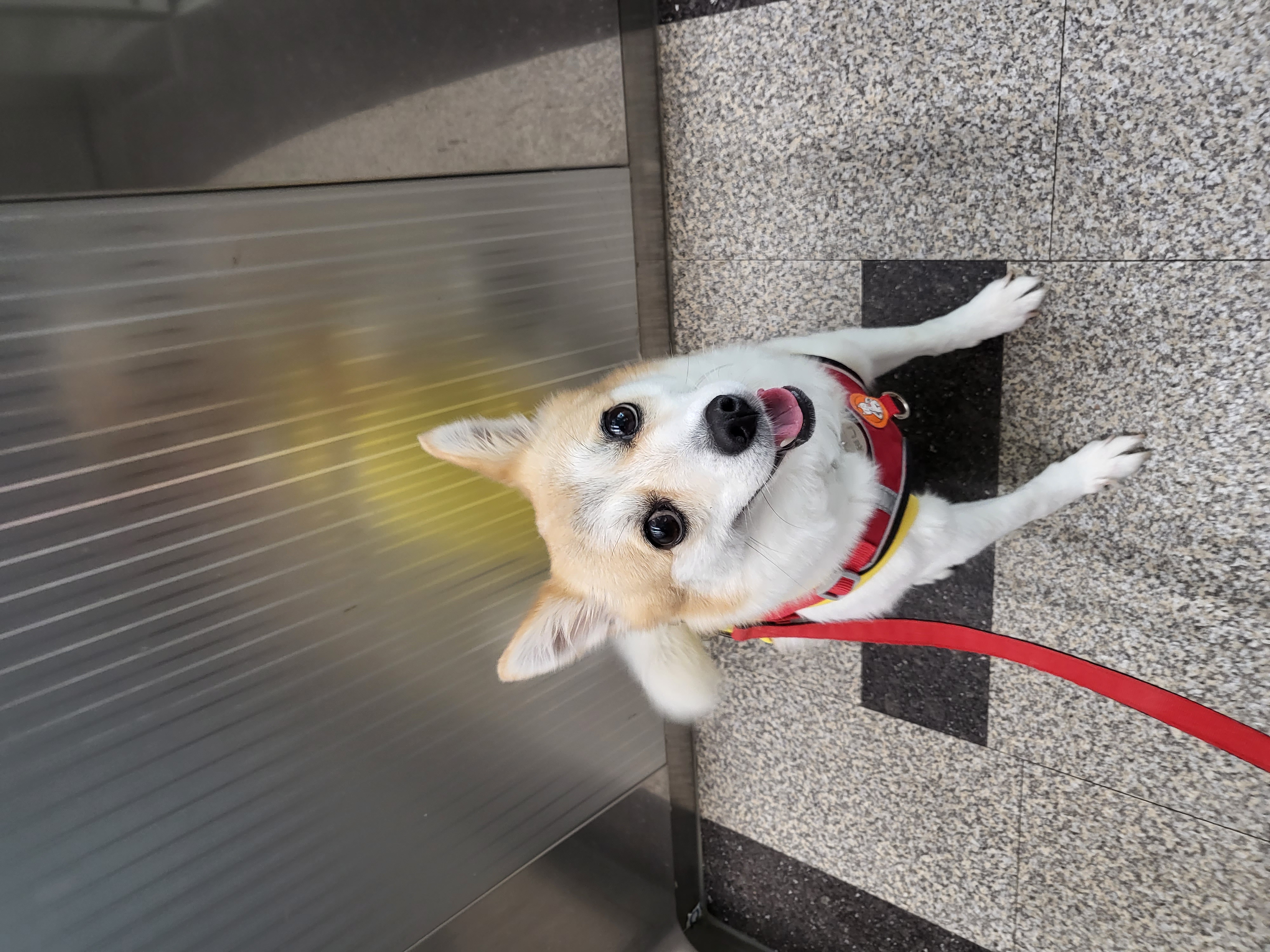 제니(카멜)랑 5년째 행복하게 지내는 중!