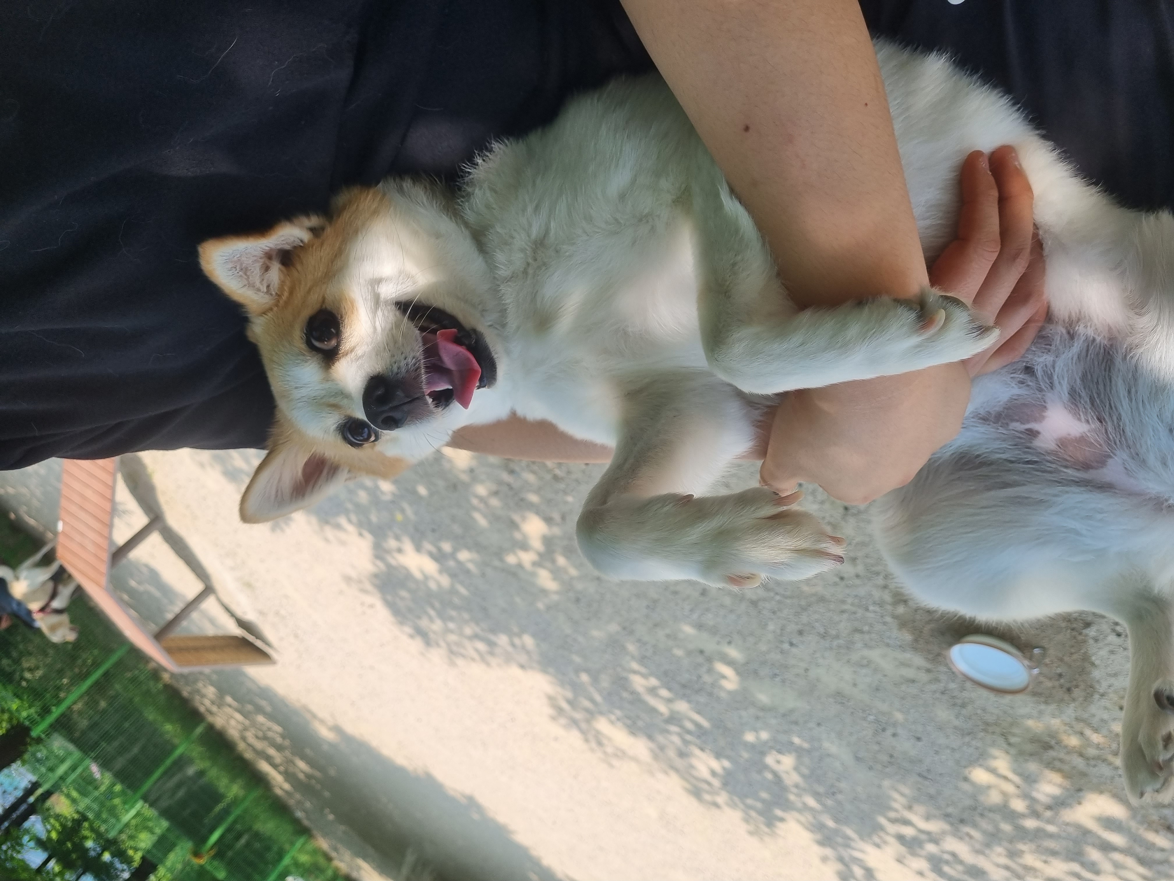 제니(카멜)랑 5년째 행복하게 지내는 중!