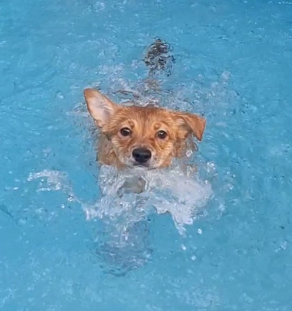 누리(귀리)3개월 됐어요~