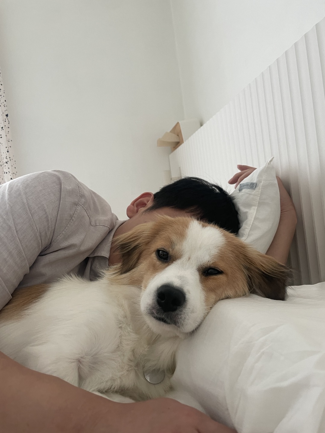 '해치' 입양 일주일