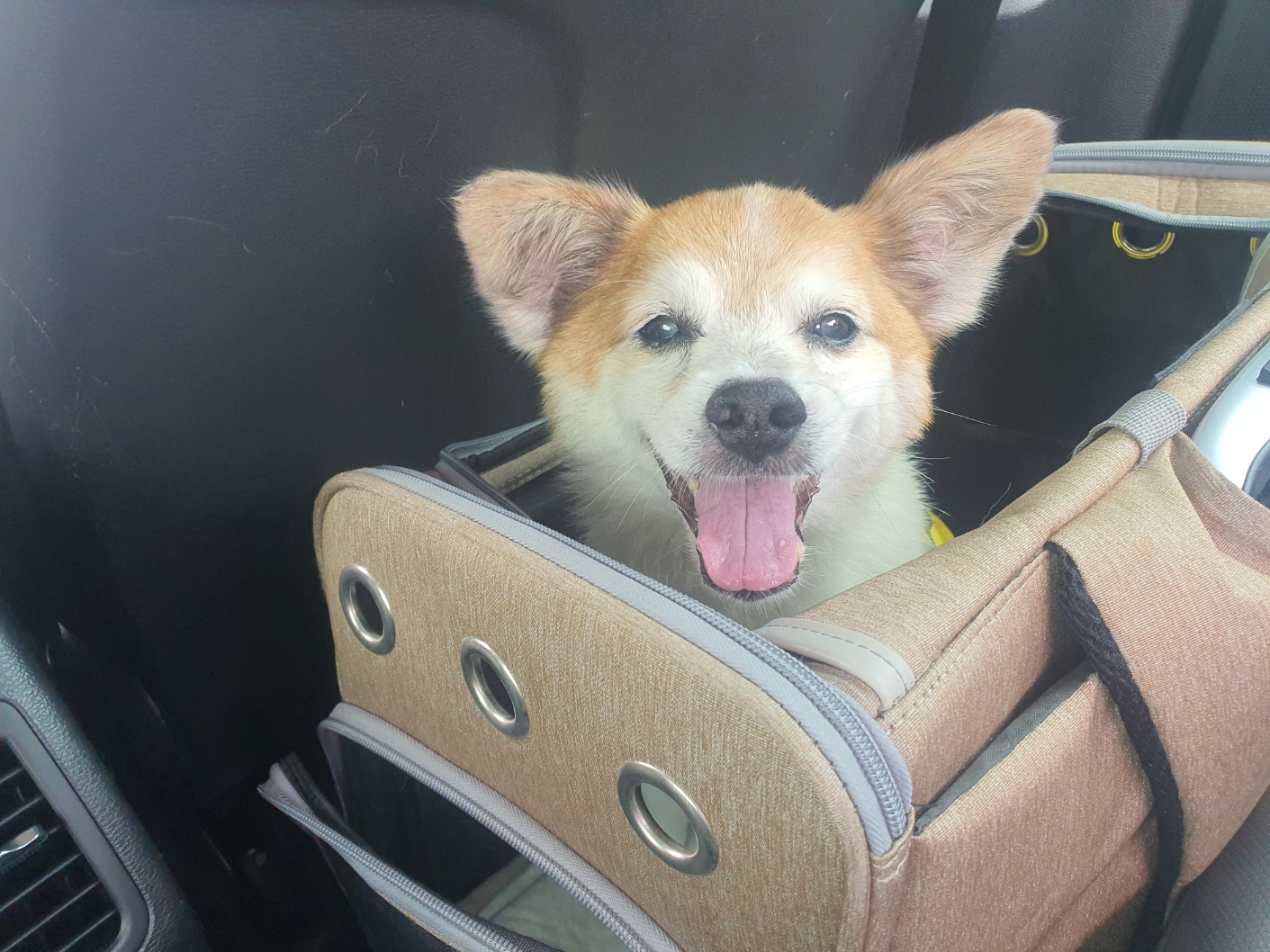 꼬마와 2년이 됐습니다 ^^