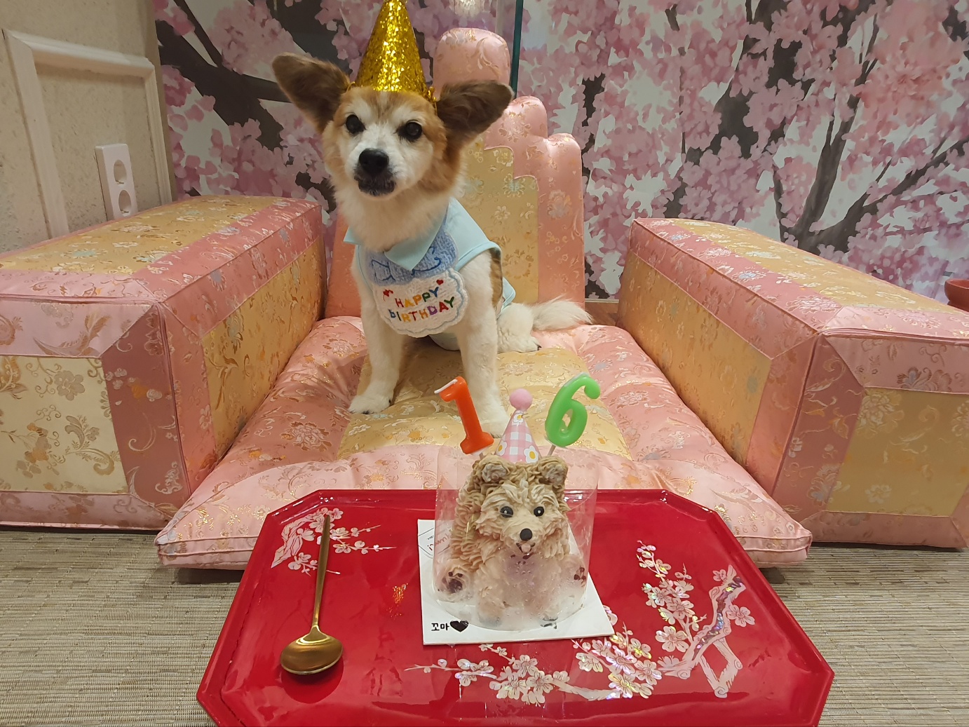 꼬마와 2년이 됐습니다 ^^