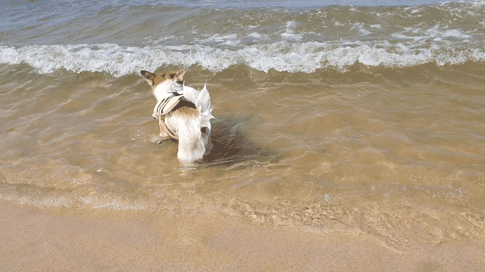 꼬마와 2년이 됐습니다 ^^