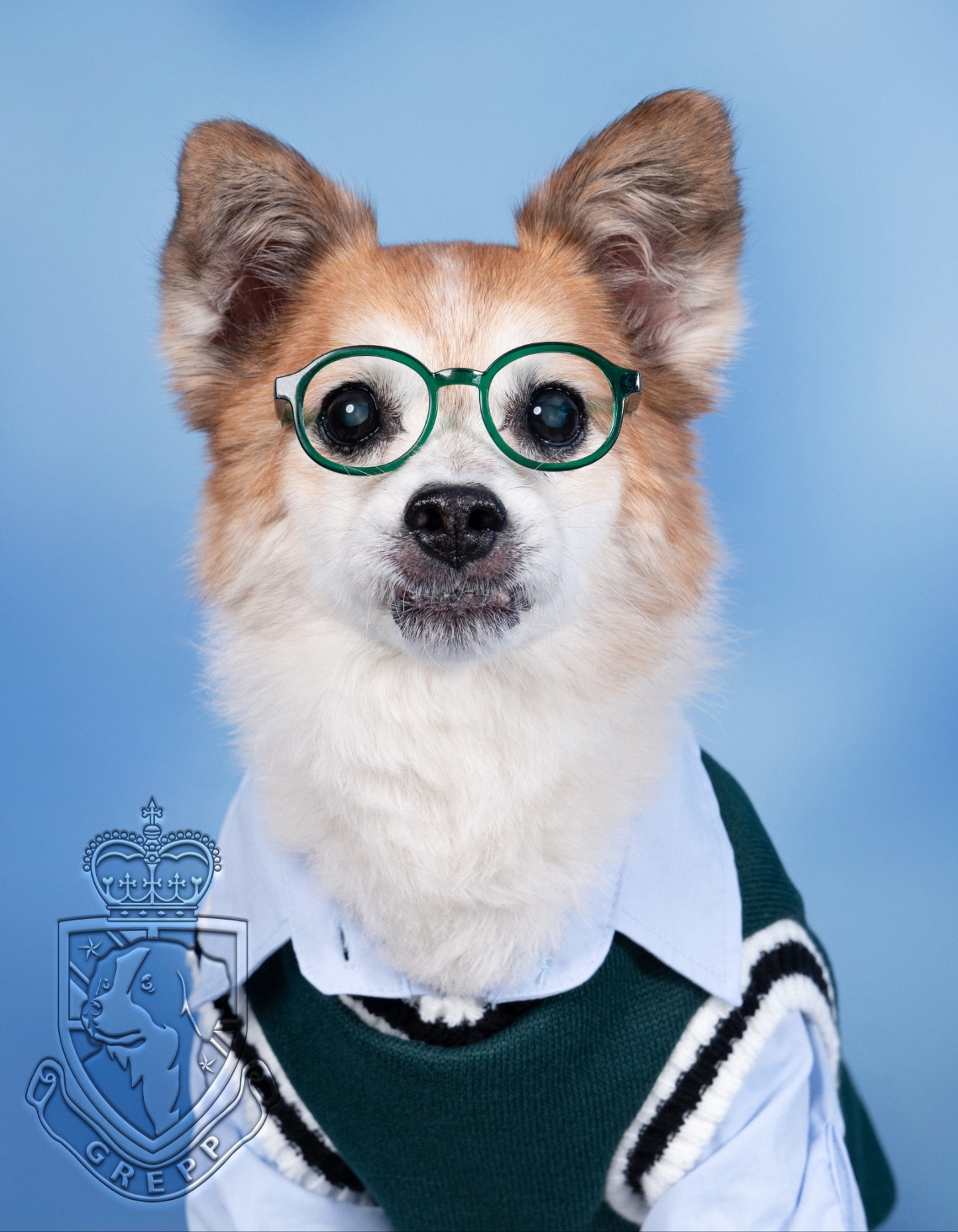 꼬마와 2년이 됐습니다 ^^