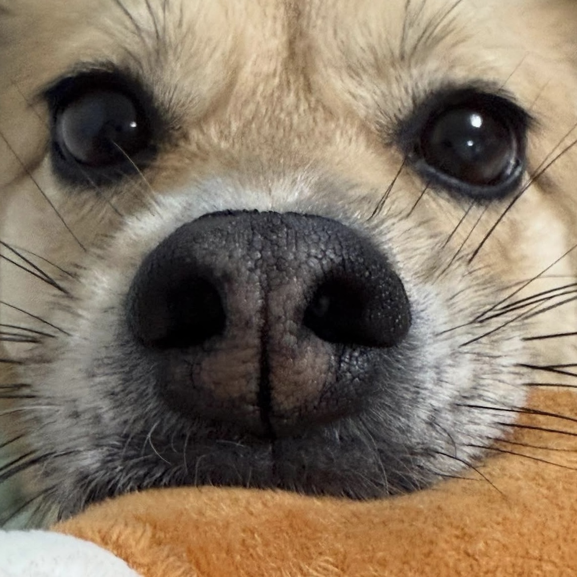 지구와 같이 지낸지 4년이 지났어요.