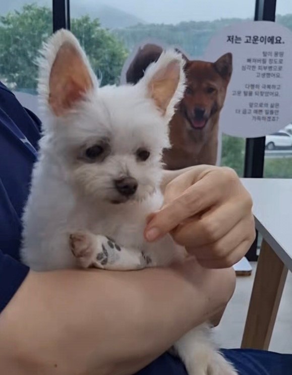 안녕하세요. 익준이가 인사드립니다.
