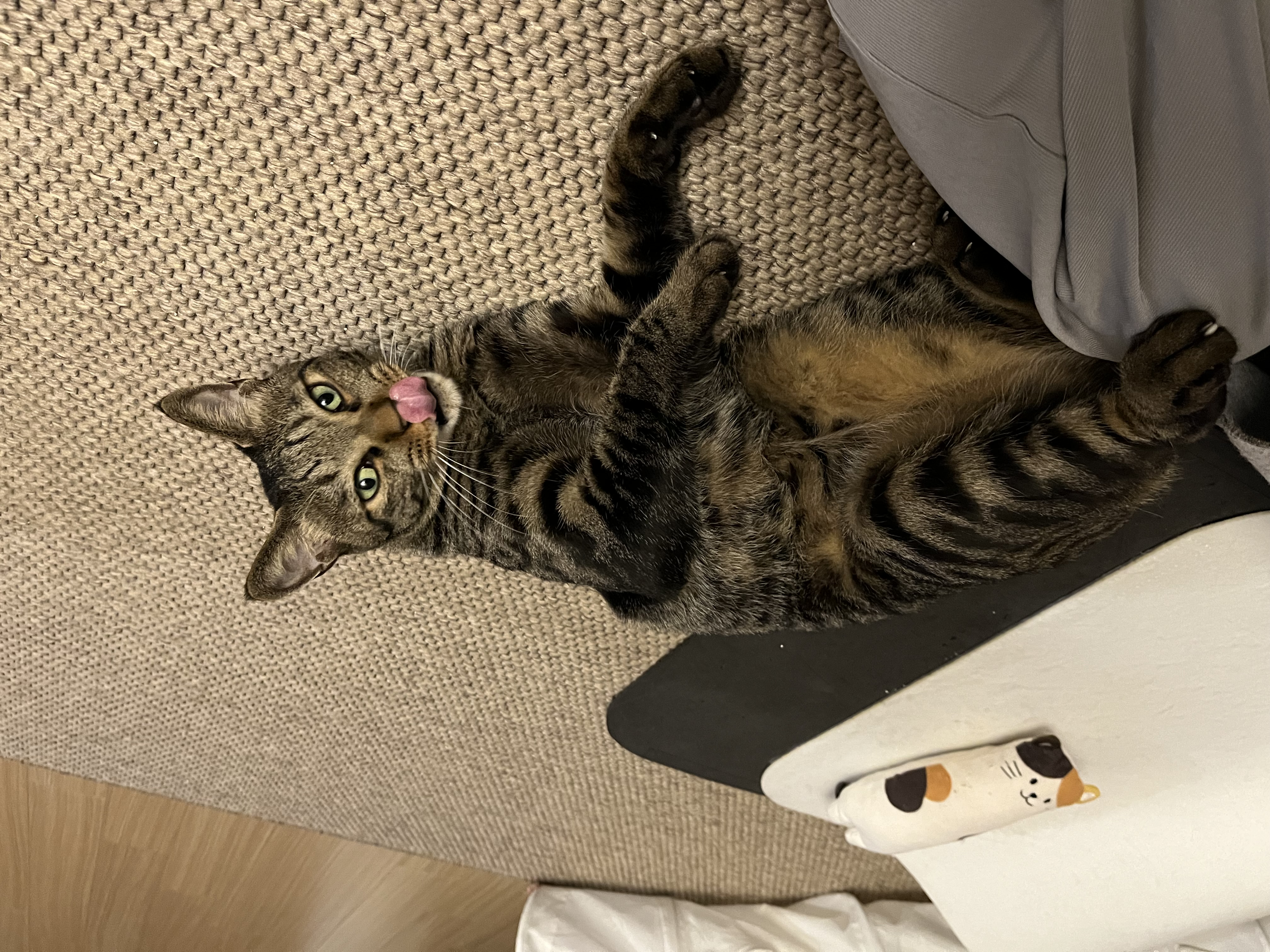 망덕이 울집 온 지 …벌써 삼년! 