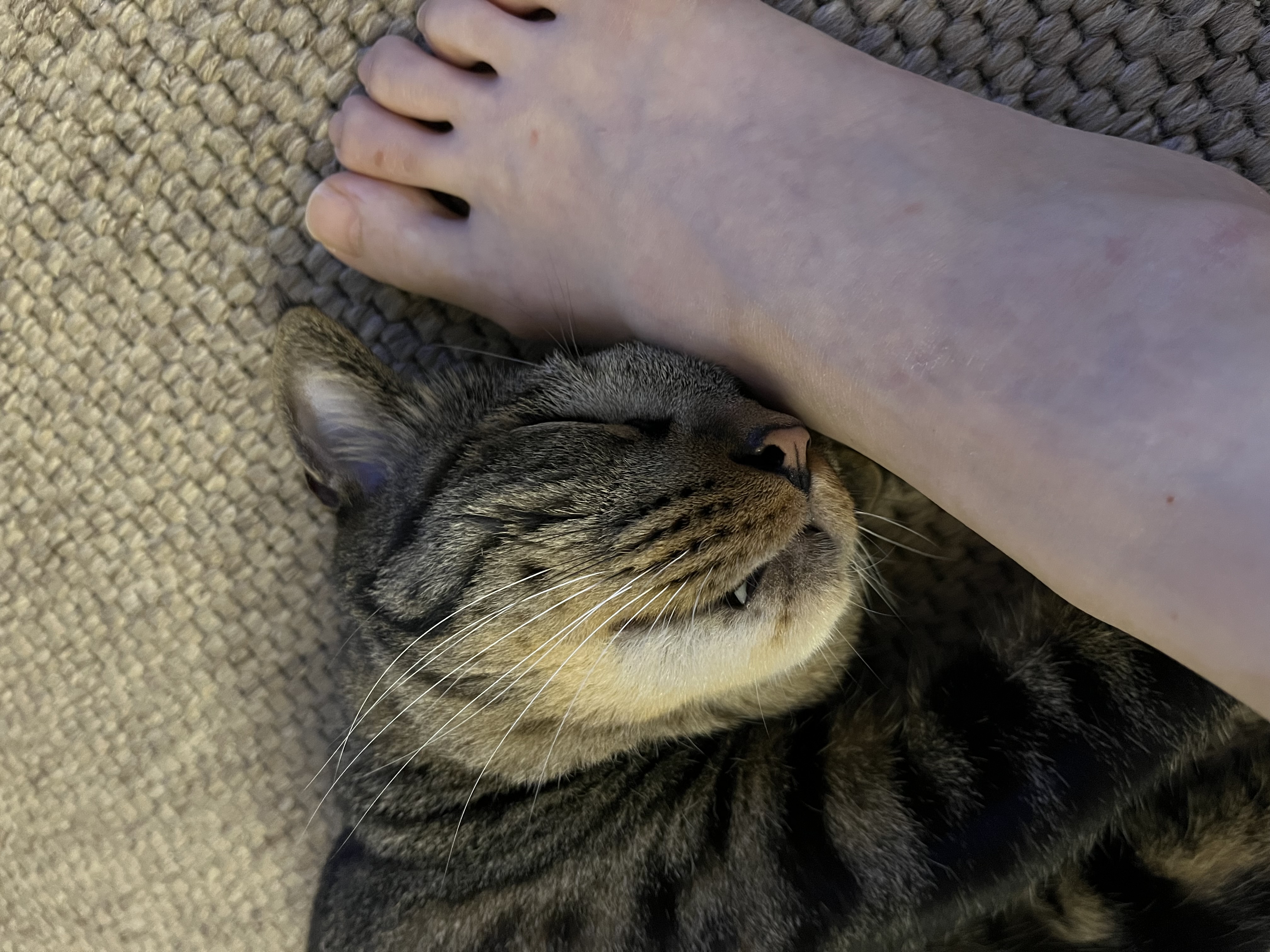 망덕이 울집 온 지 …벌써 삼년! 