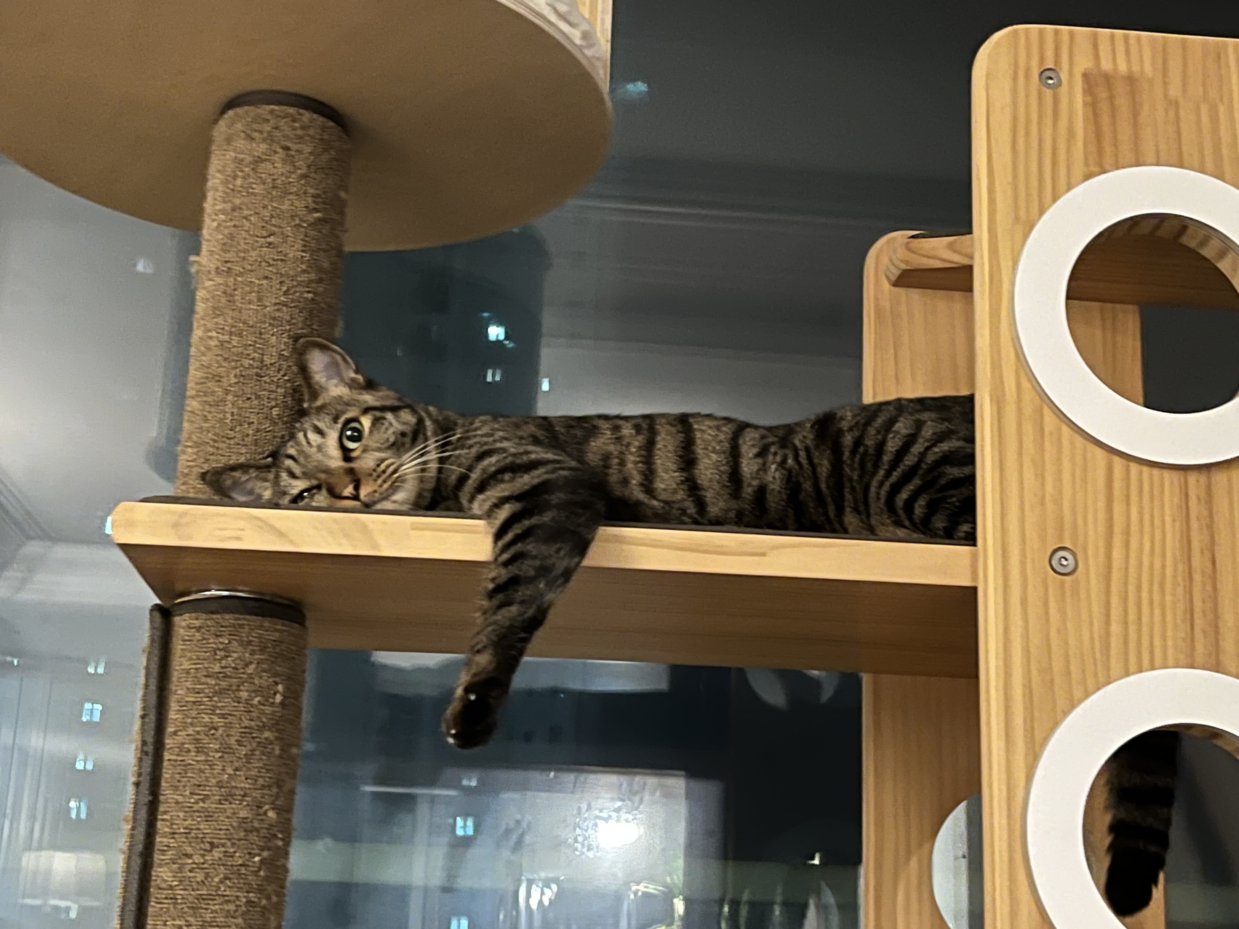 망덕이 울집 온 지 …벌써 삼년! 