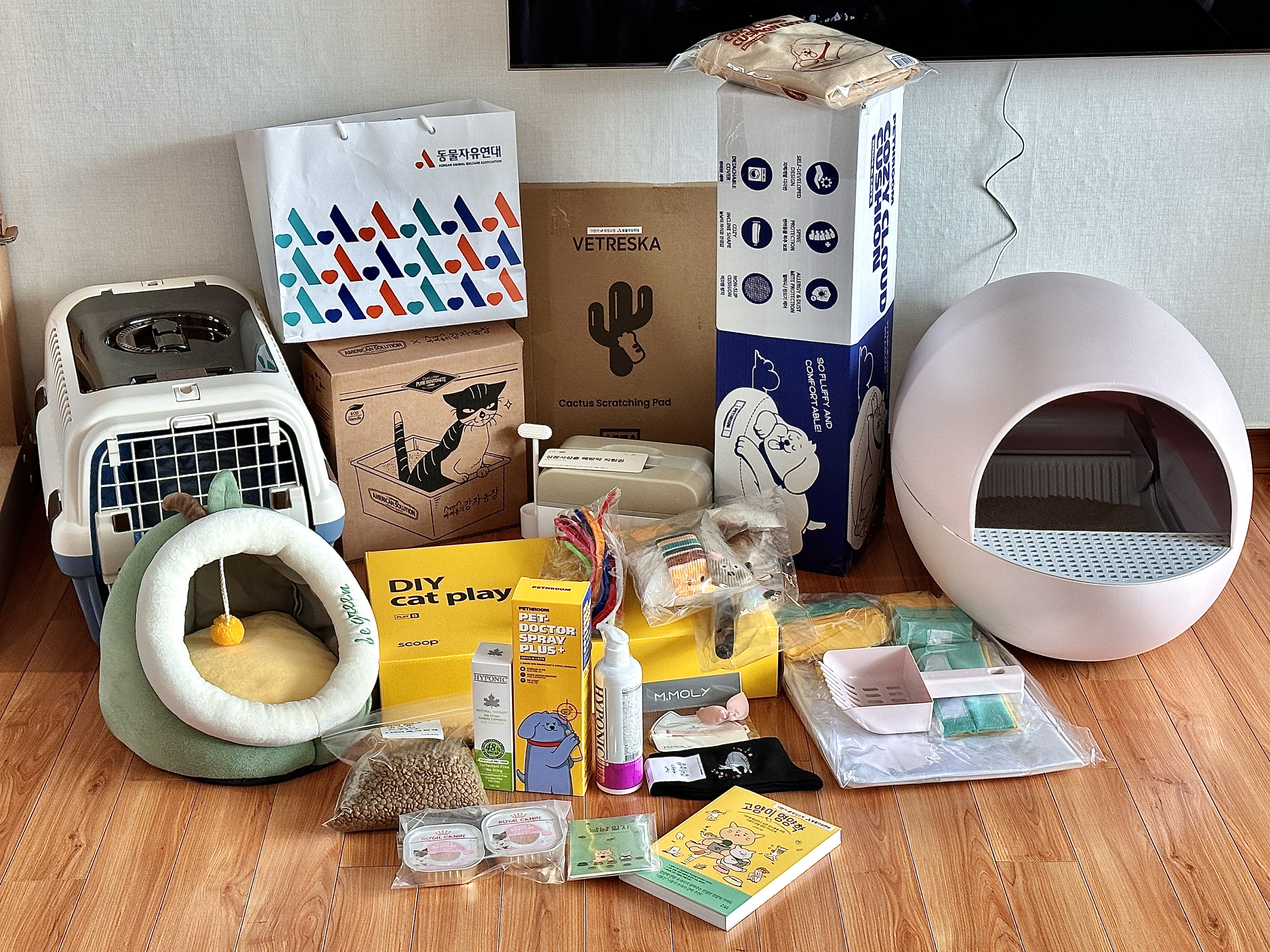 꼬무(유노) 입양 1주일 후기