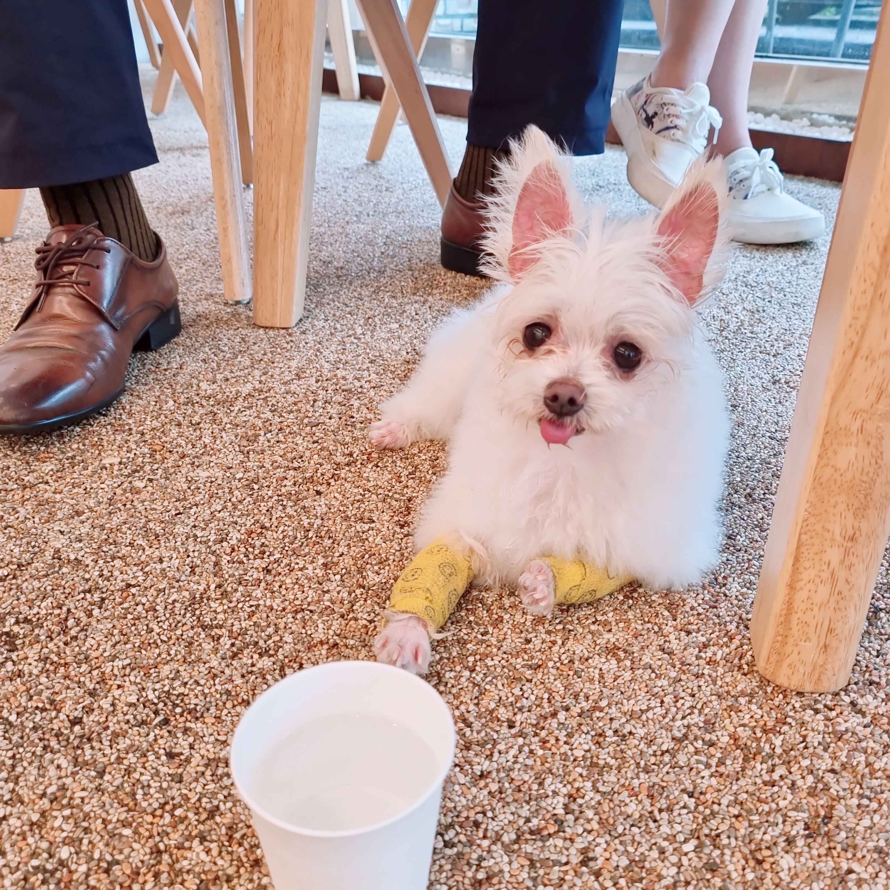 꾸미(익준이)의 8월 한 달 이야기💕