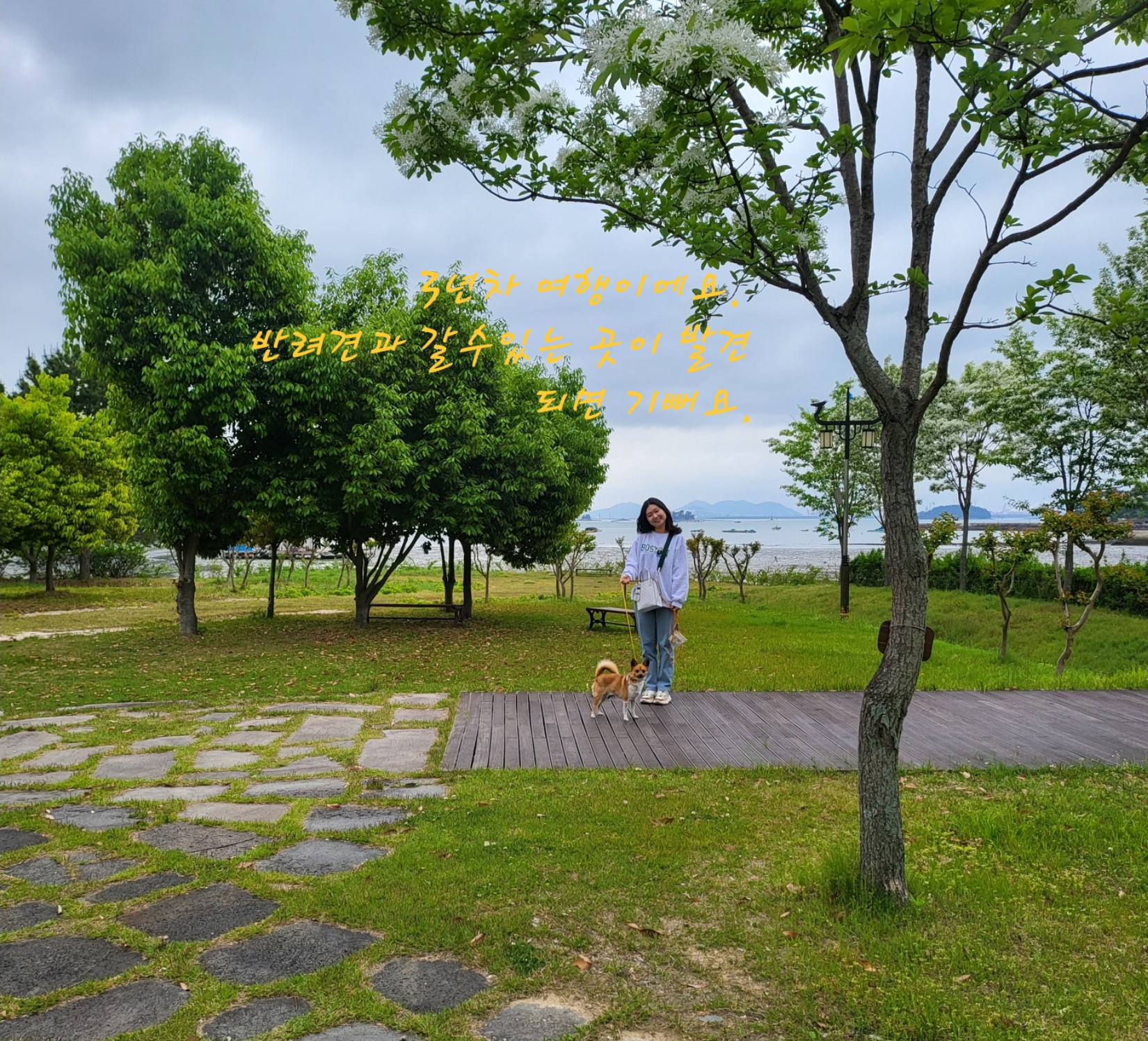 은일(보나)입양 만3년이에요.