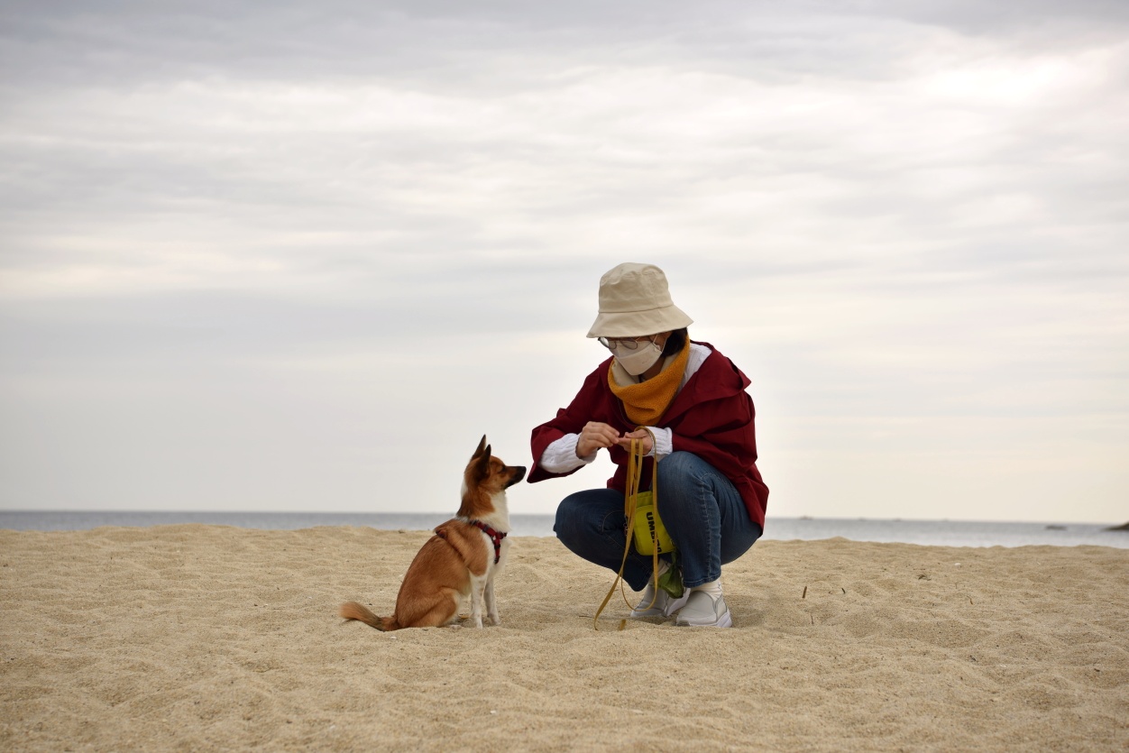 은일(보나) 입양 1년(글이 없어져서 다시 올립니다)
