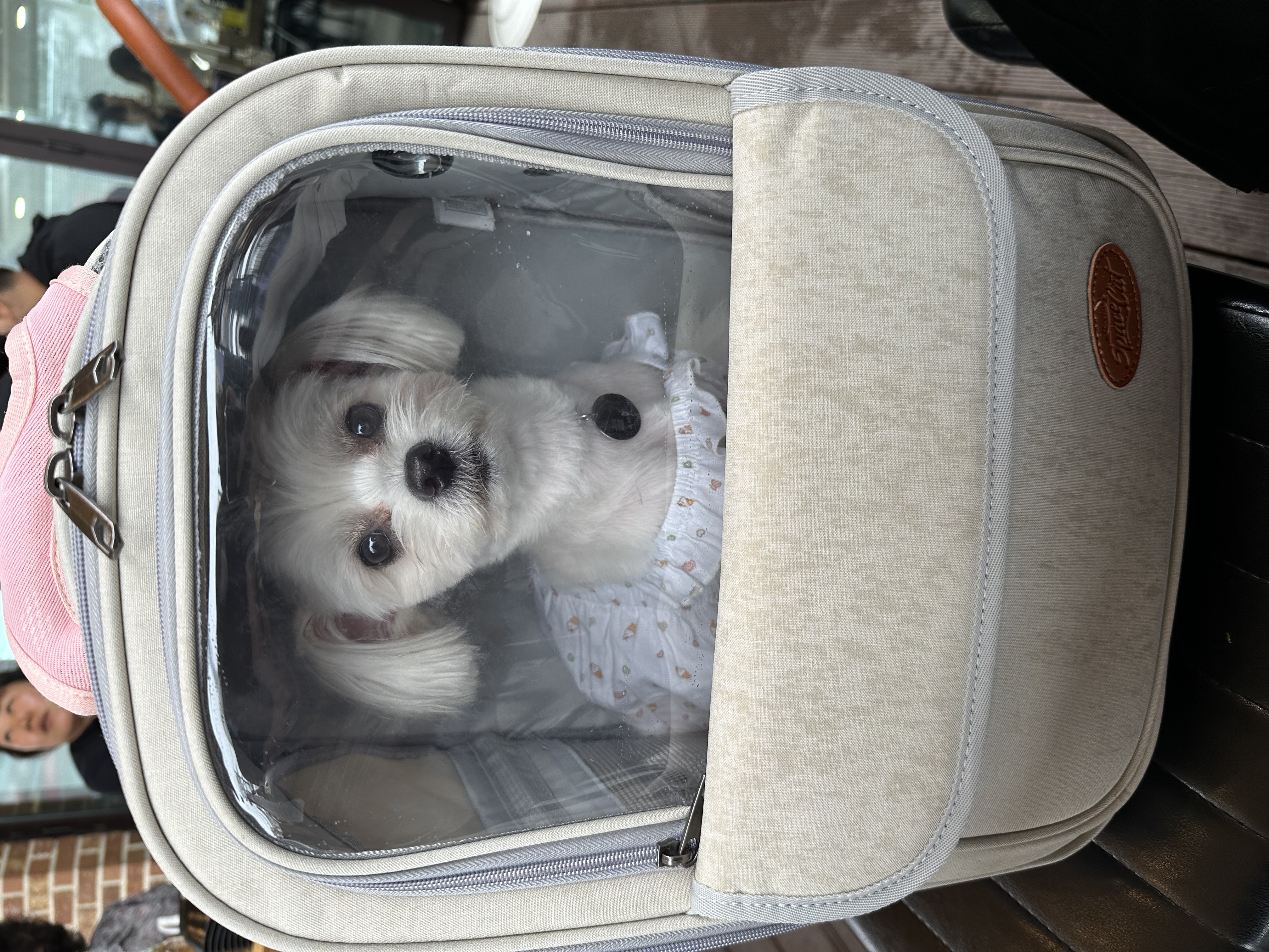 설기(구 오식이)