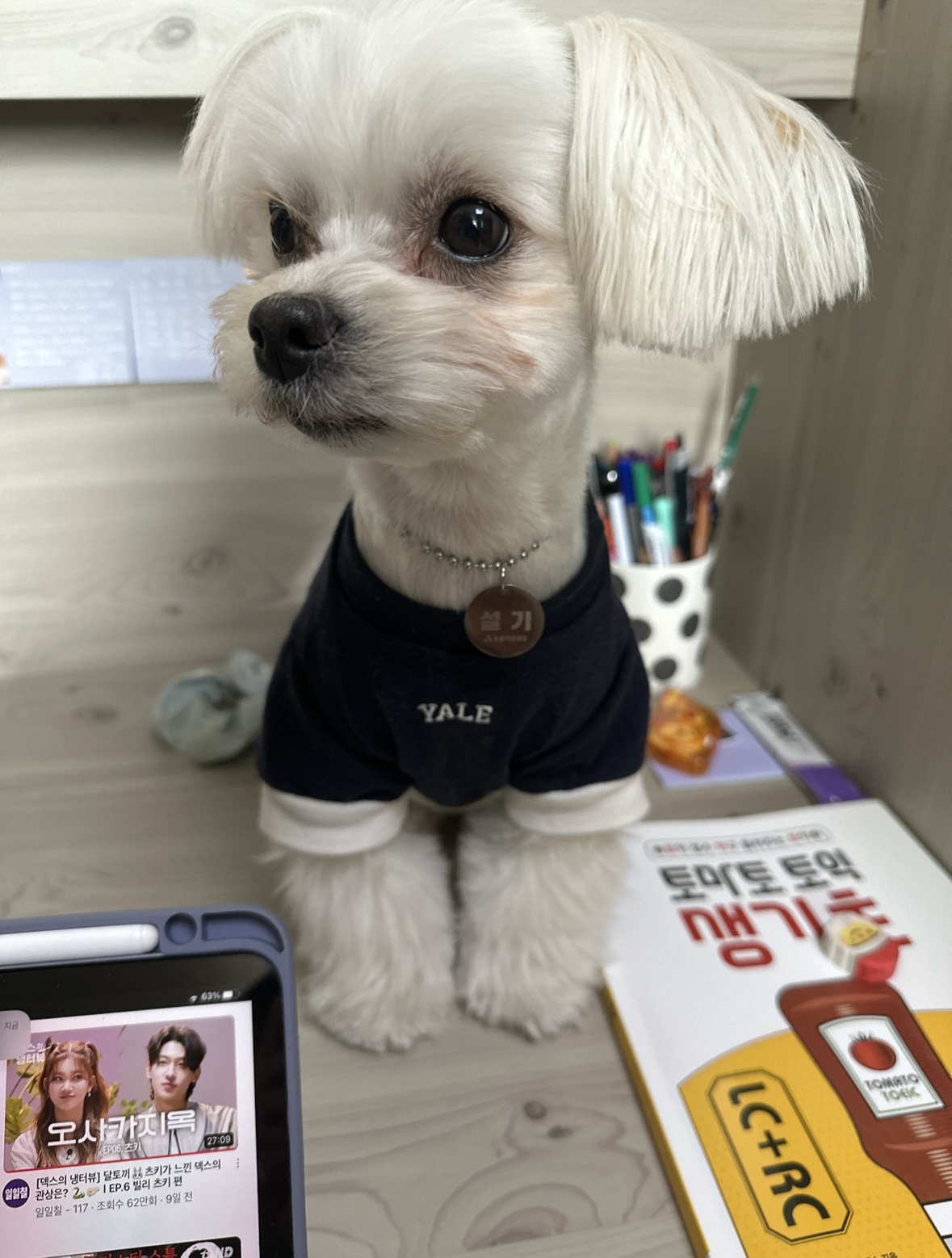 설기(구 오식이)