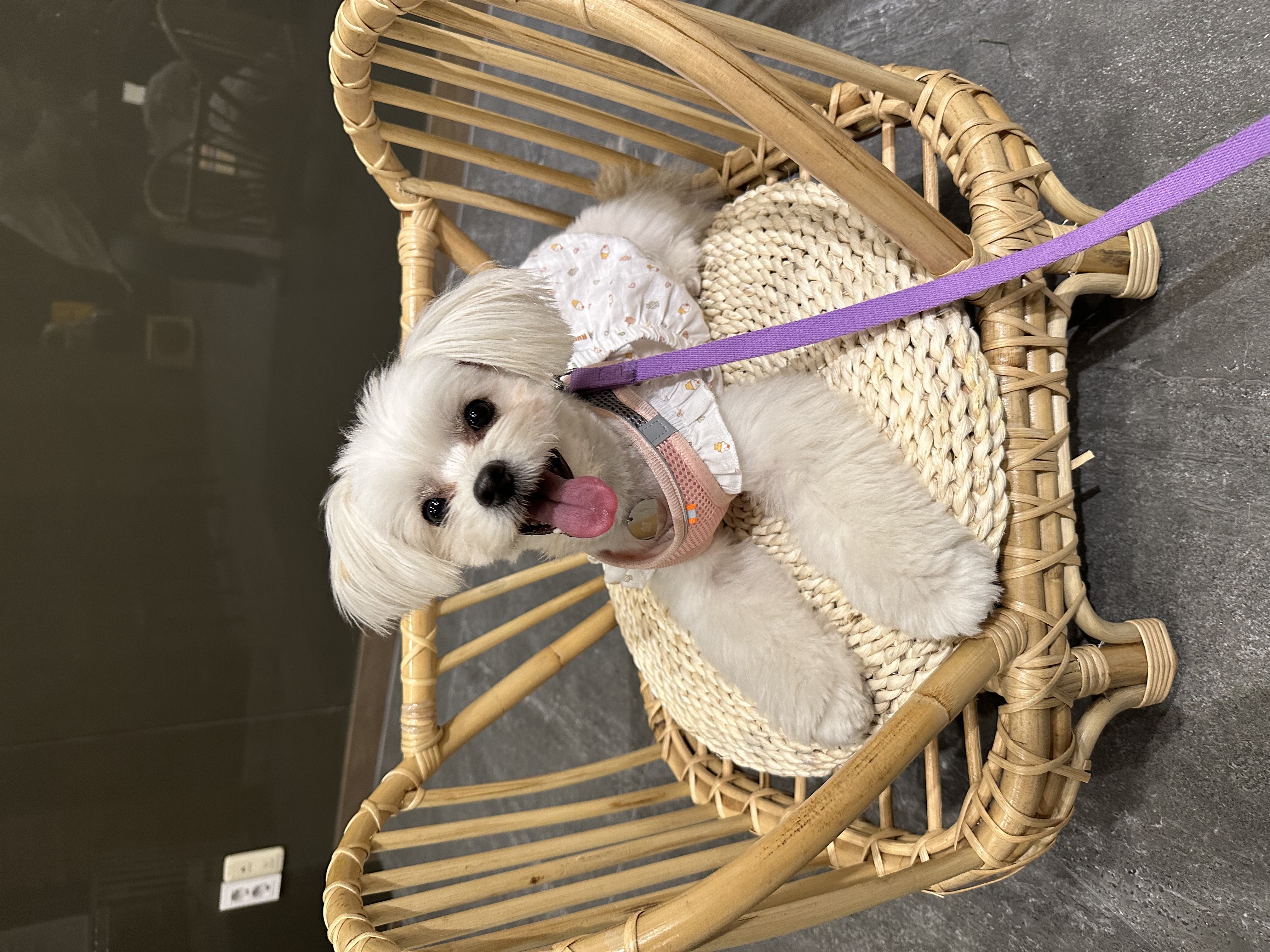 설기(구 오식이)