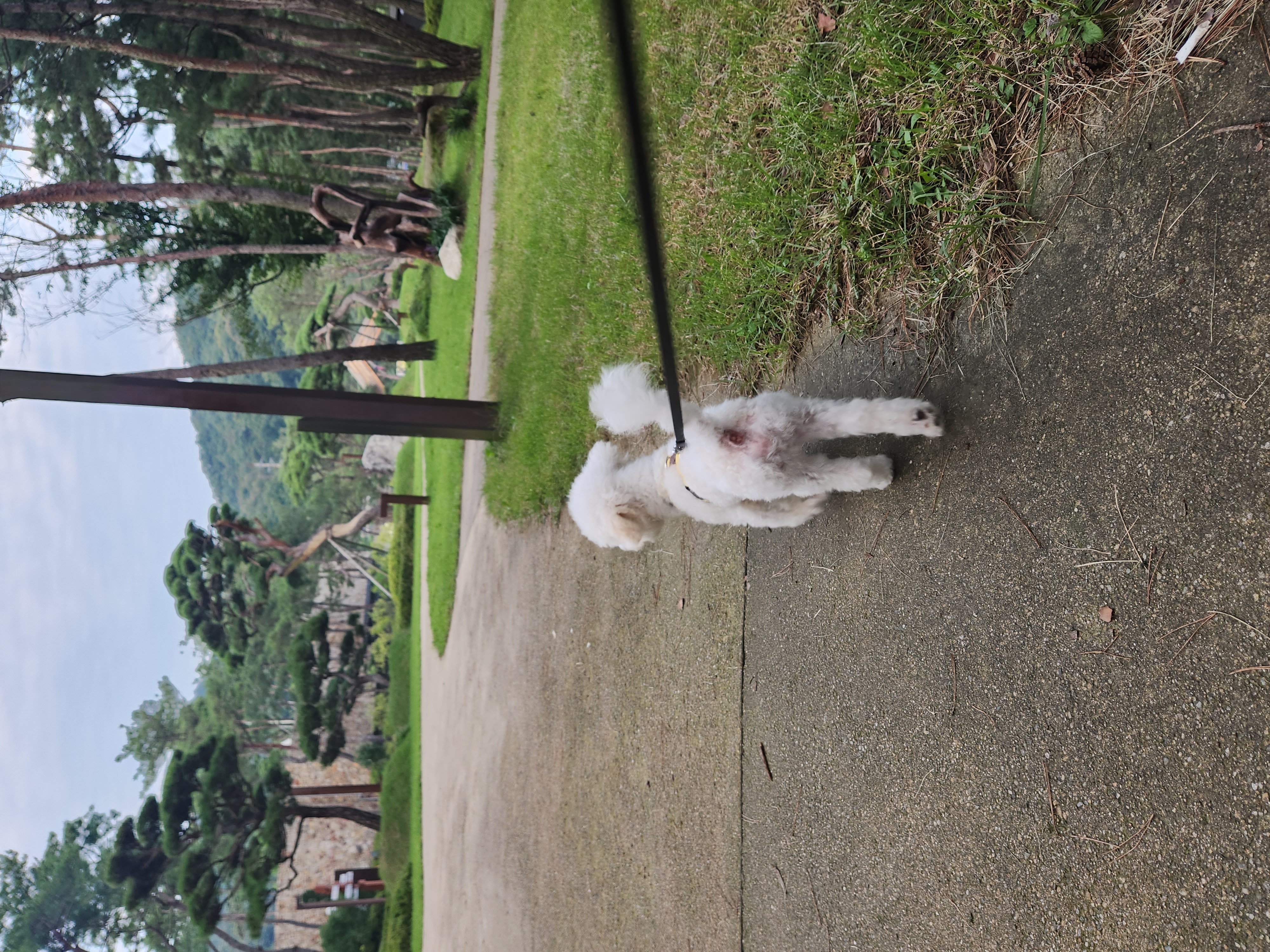 도담(말랭)이의 한달 이야기