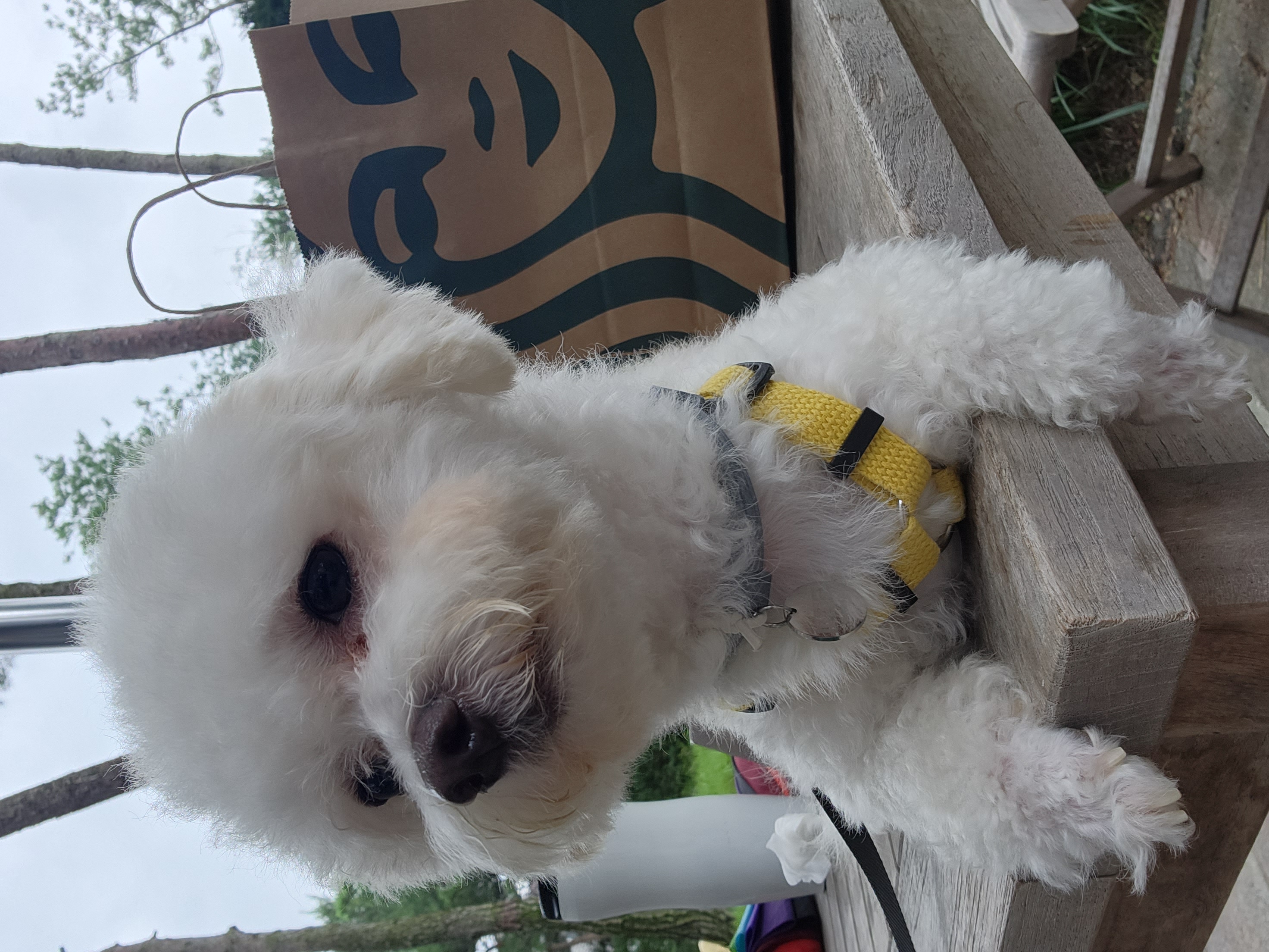 도담(말랭)이의 한달 이야기