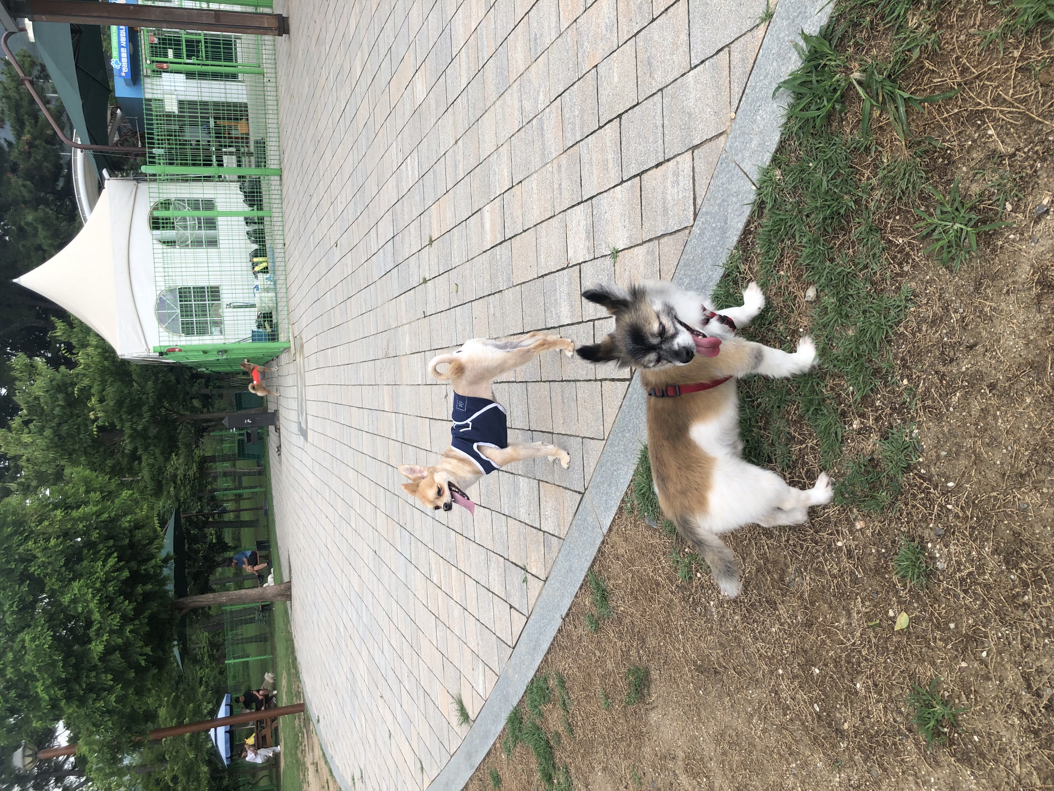 미로(구 오원) 1년 이야기