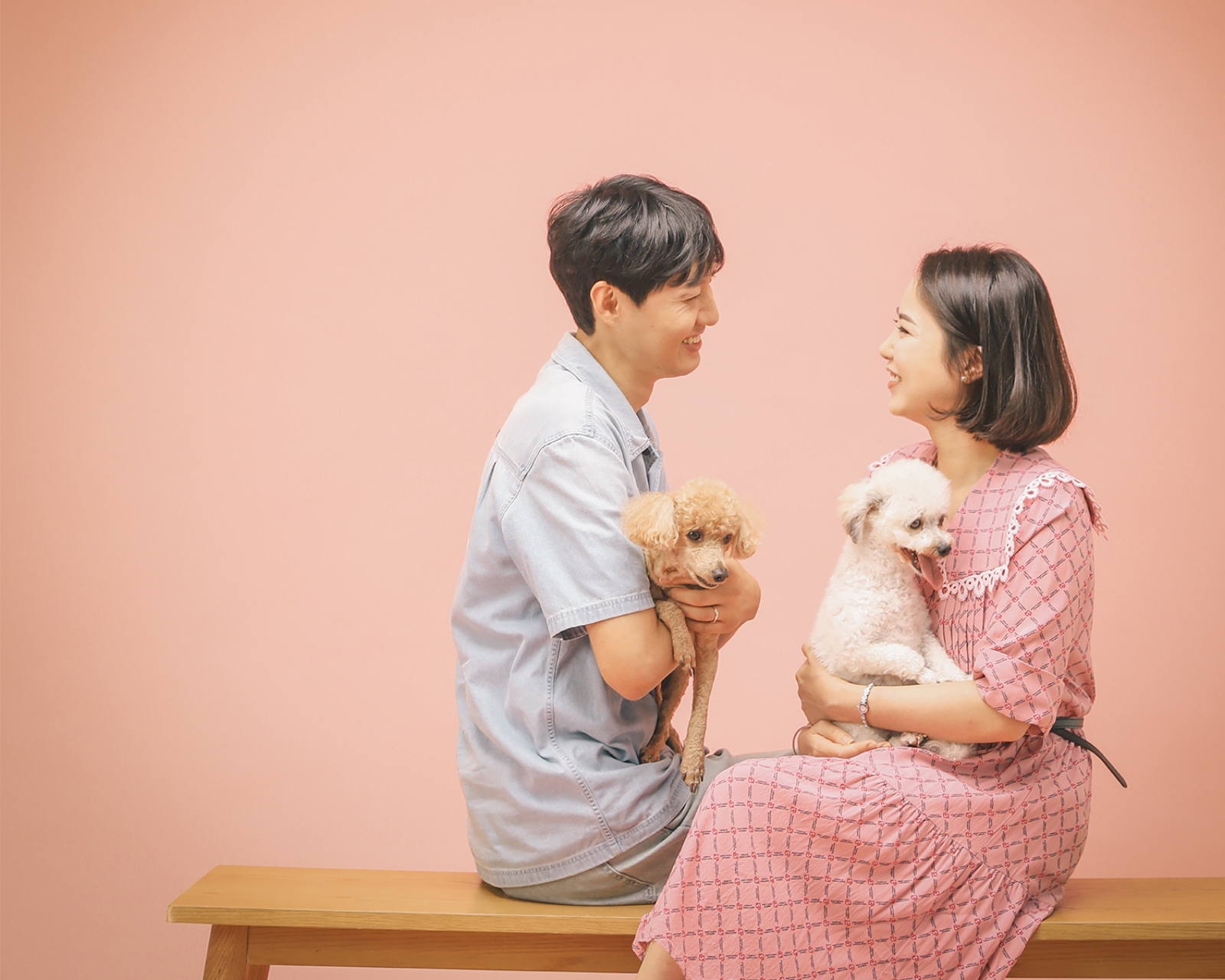 알록이 입양했어요